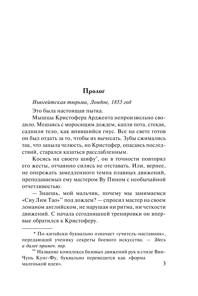 Мордашев Евгений Александрович Опасное увлечение - страница 4