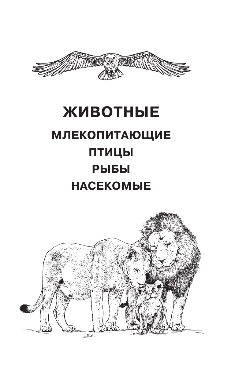 Кузечкин Андрей Сергеевич 1000 отчего и почему обо всем на свете - страница 4
