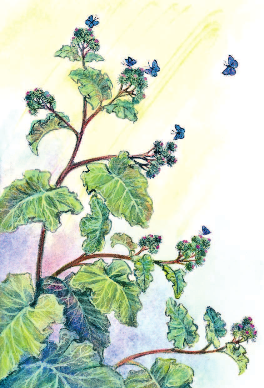 Немцова Наталия Леонидовна Лучшие сказки для почемучки - страница 3