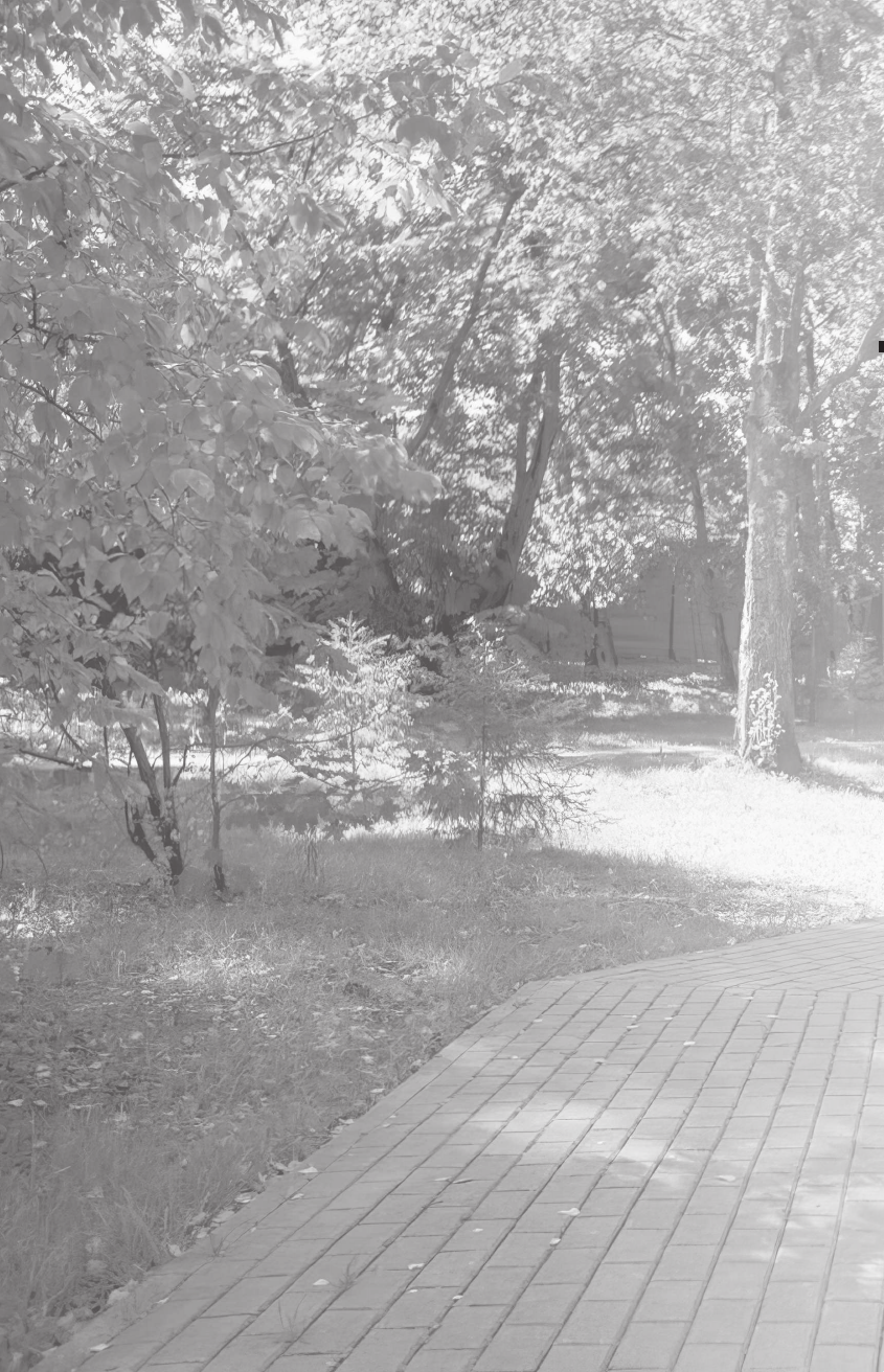 Демидова Алла Сергеевна Это было давно. Путешествия. Дневники. Воспоминания - страница 2