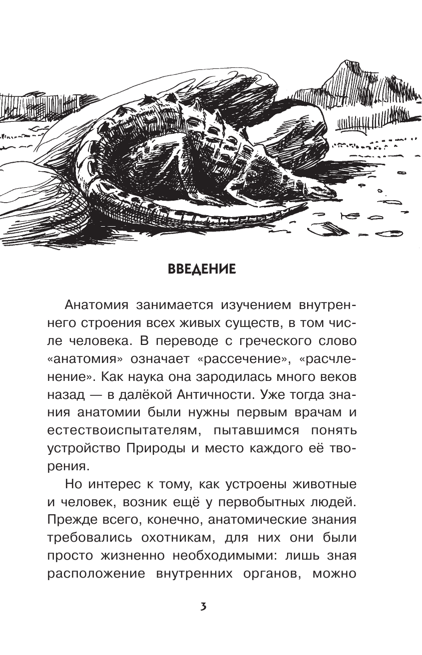 Пахневич Алексей Валентинович Увлекательная анатомия - страница 4