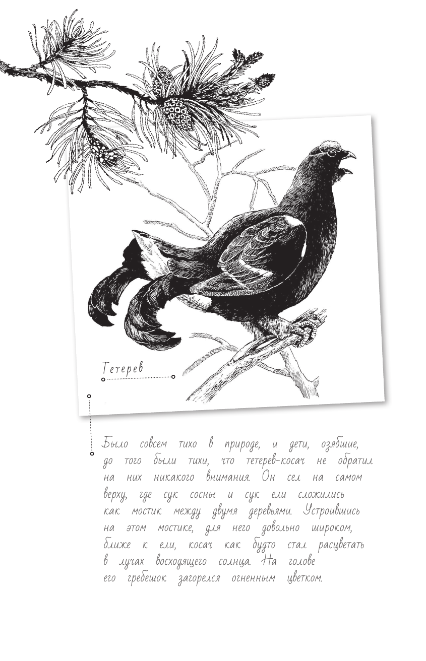 Пришвин Михаил Михайлович Кладовая солнца - страница 3