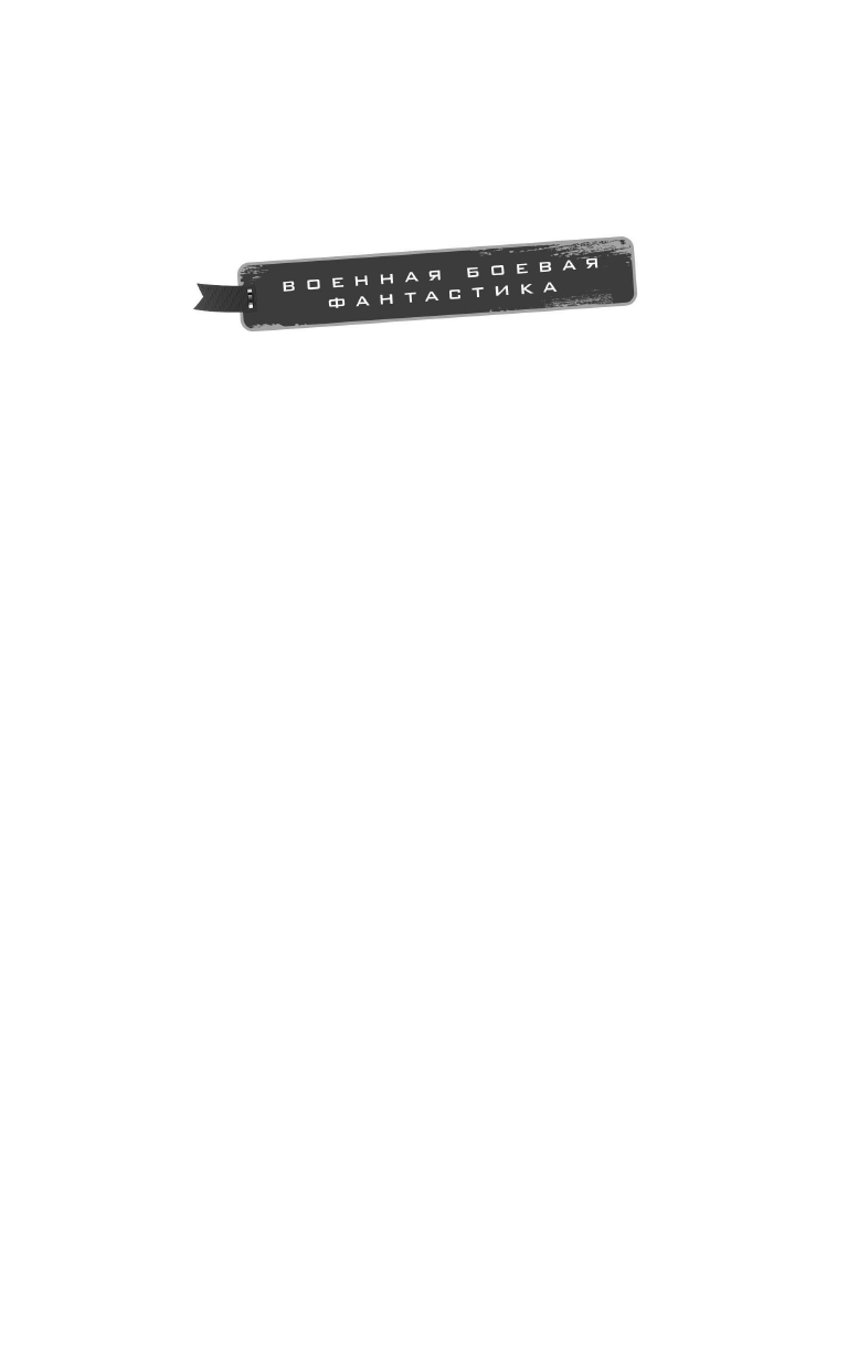 Поселягин Владимир Геннадьевич Начало. Техник-интендант - страница 2