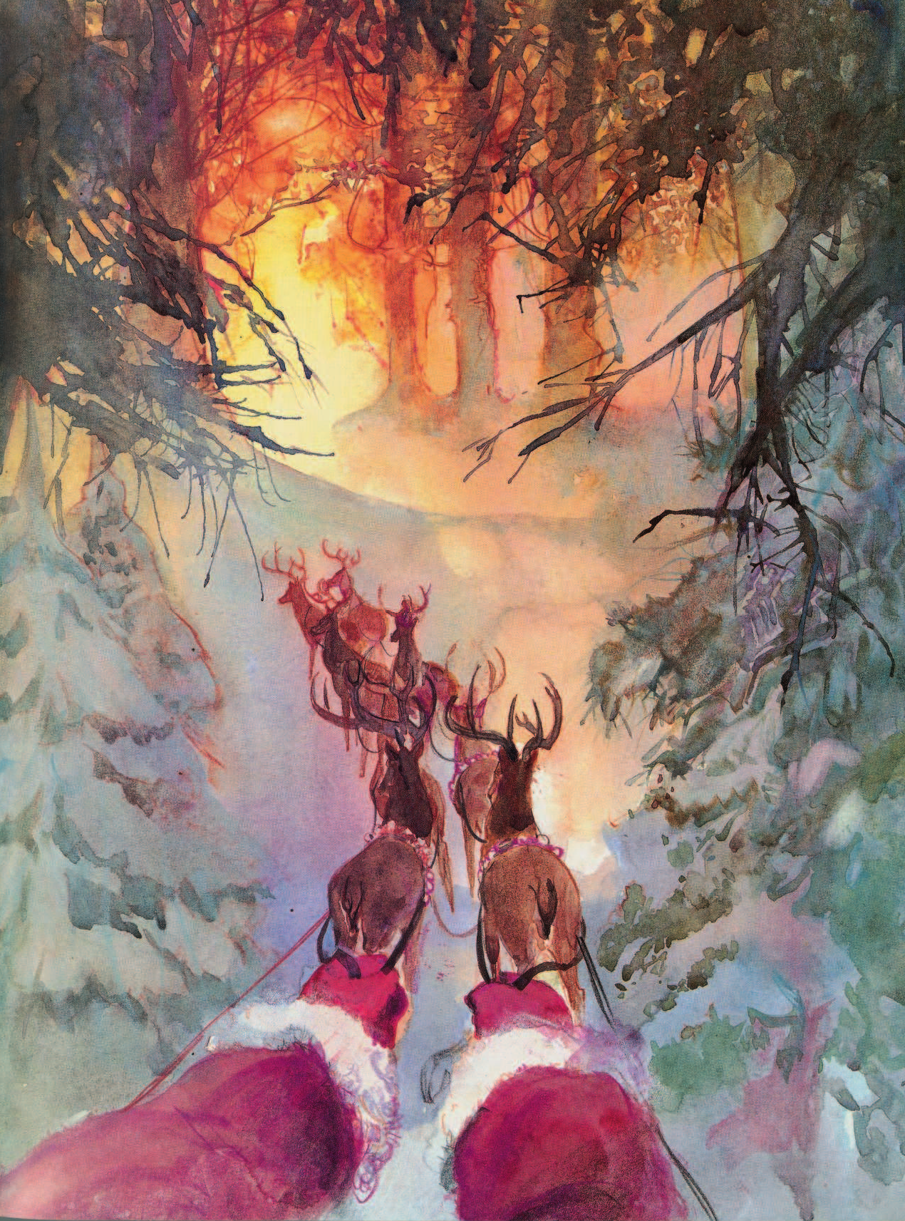 Грин Джаред Санта. Подлинная история - страница 2