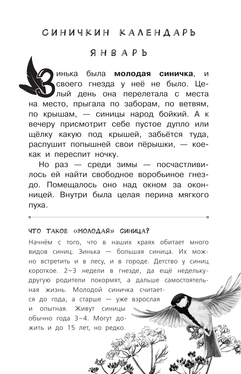 Бианки Виталий Валентинович Лесные домишки - страница 4