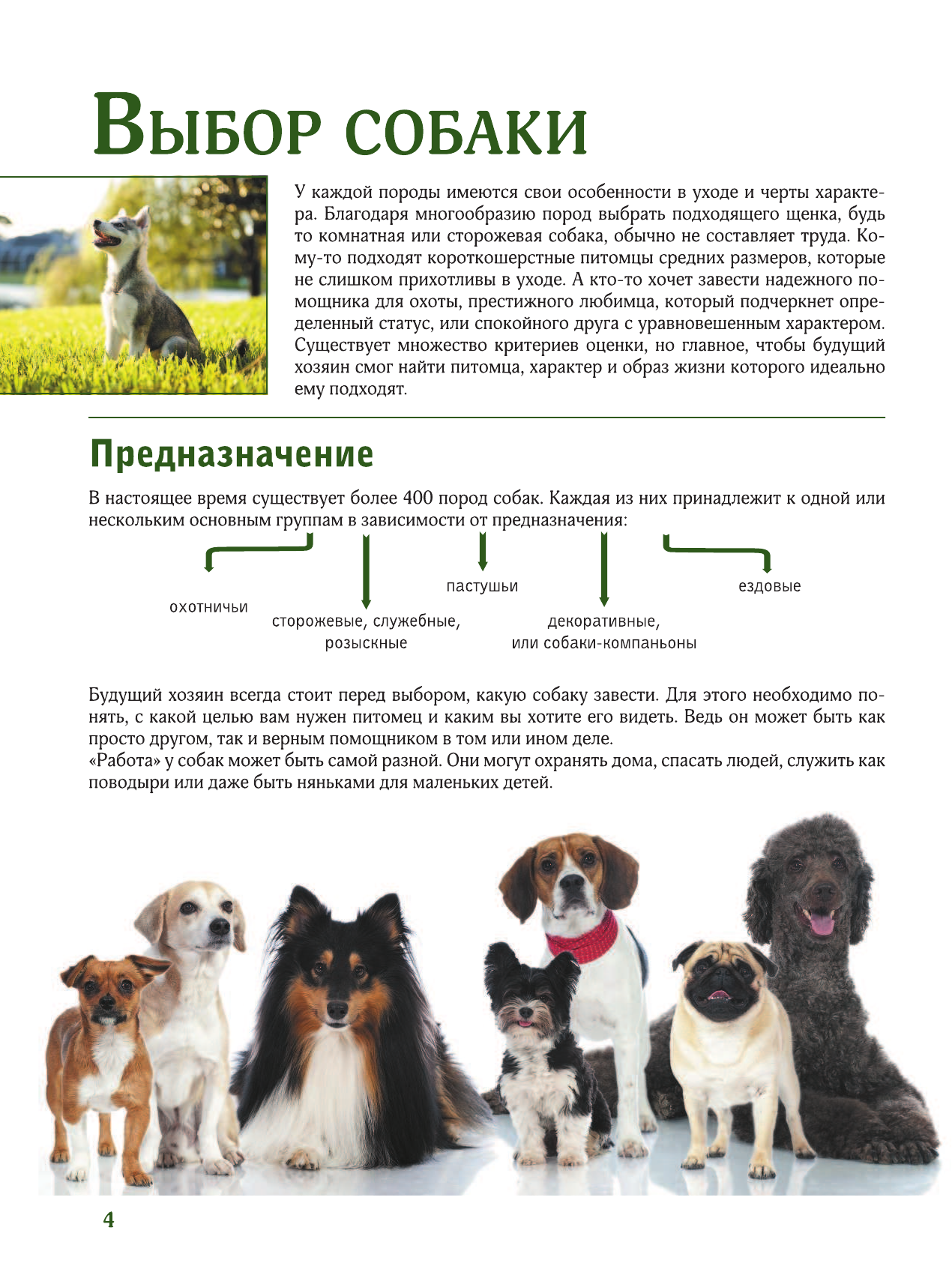  Собаки. Лучший иллюстрированный гид - страница 2