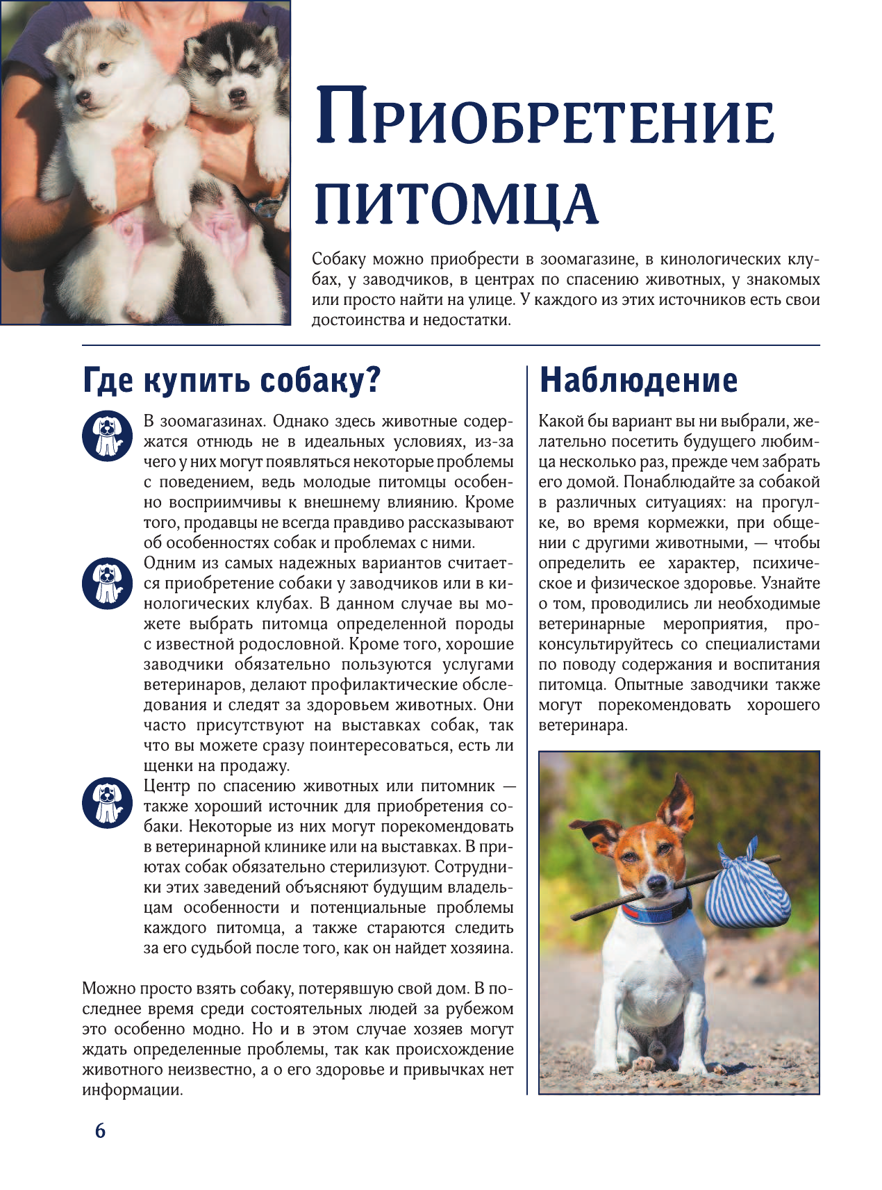  Собаки. Лучший иллюстрированный гид - страница 4