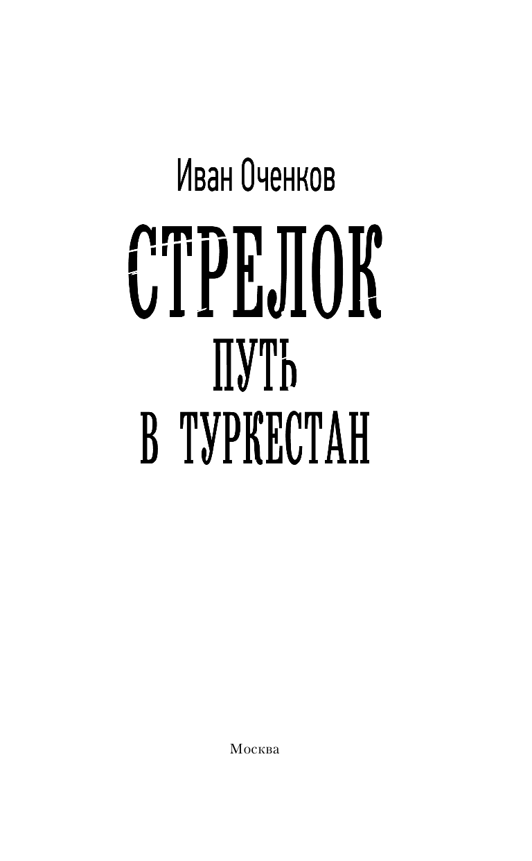 Оченков Иван Валерьевич Стрелок. Путь в Туркестан - страница 4