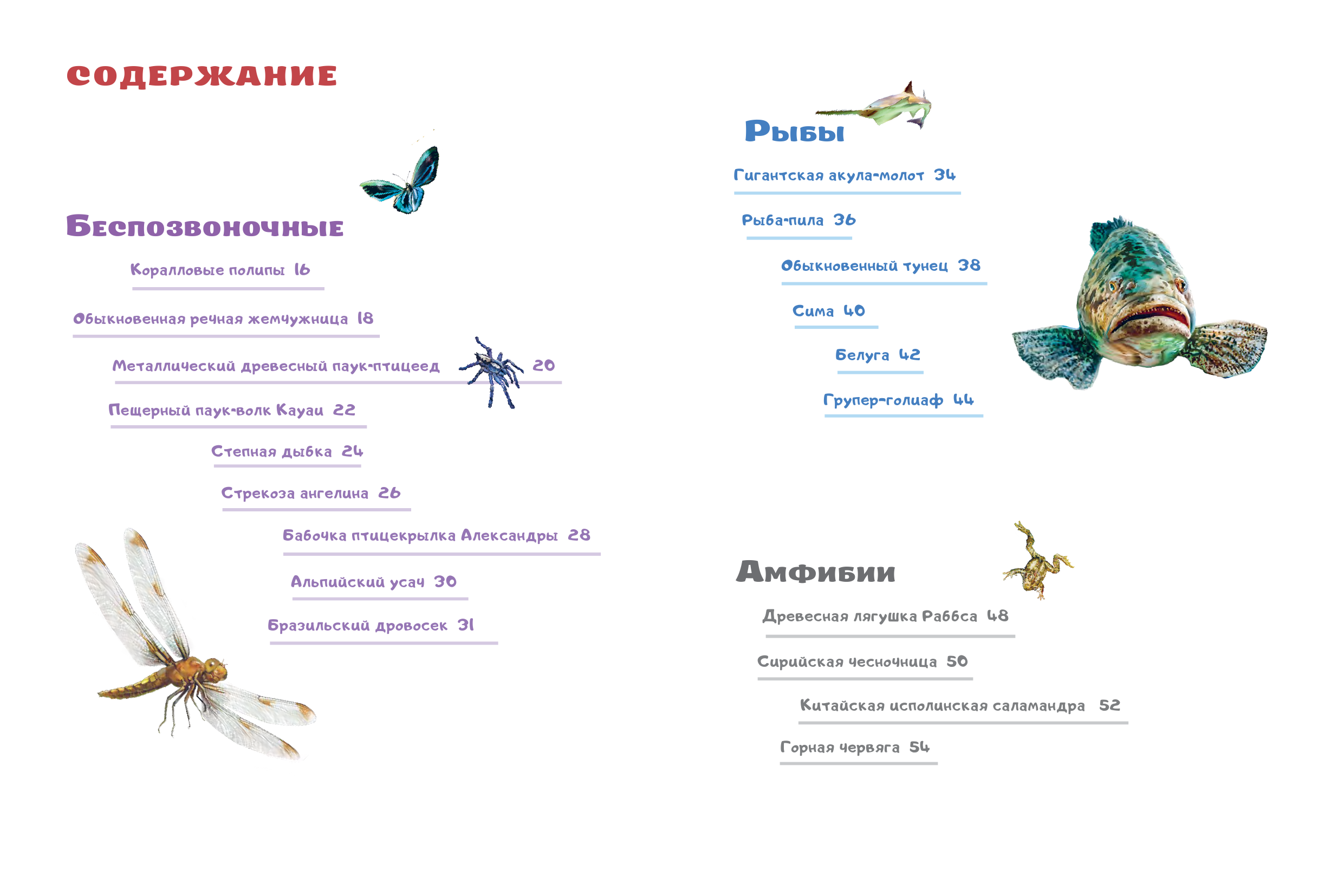 Мигунова Елена Яковлевна Красная книга. Редкие и исчезающие виды - страница 1