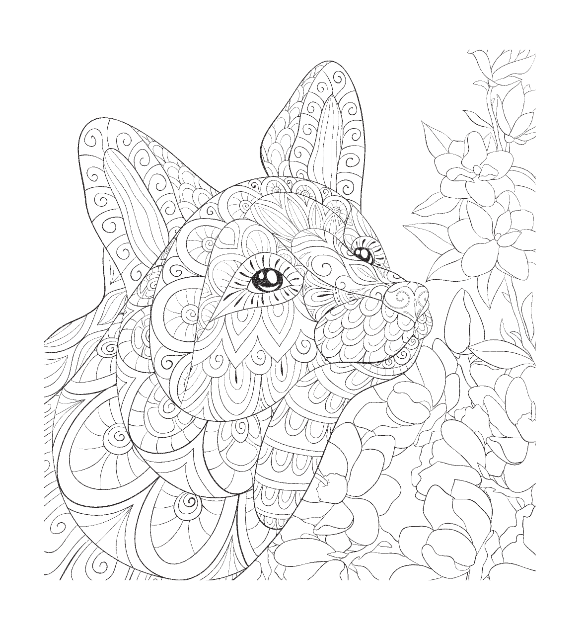  Лисы. Рыжие плутовки - страница 4