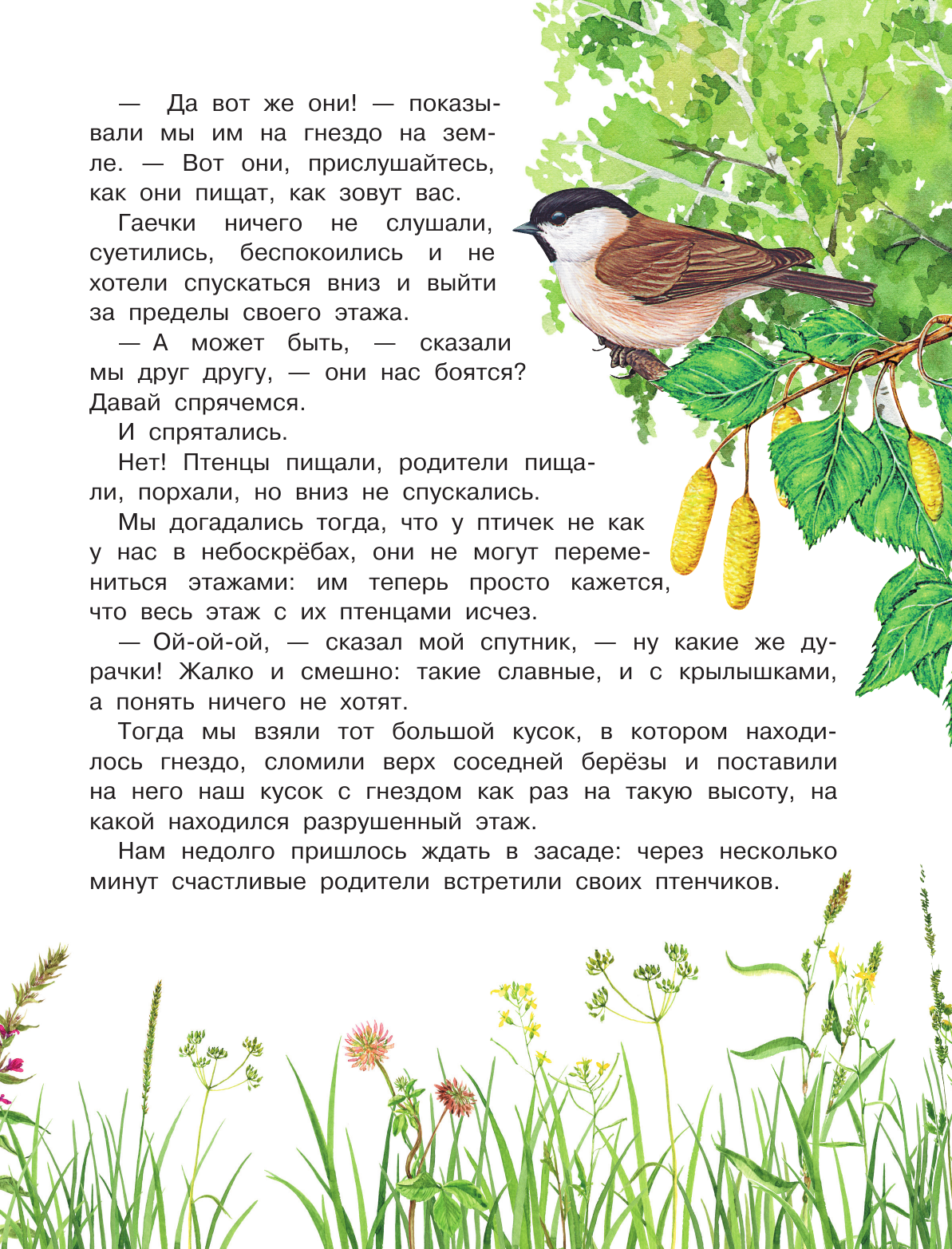 Пришвин Михаил Михайлович Рассказы о природе - страница 4
