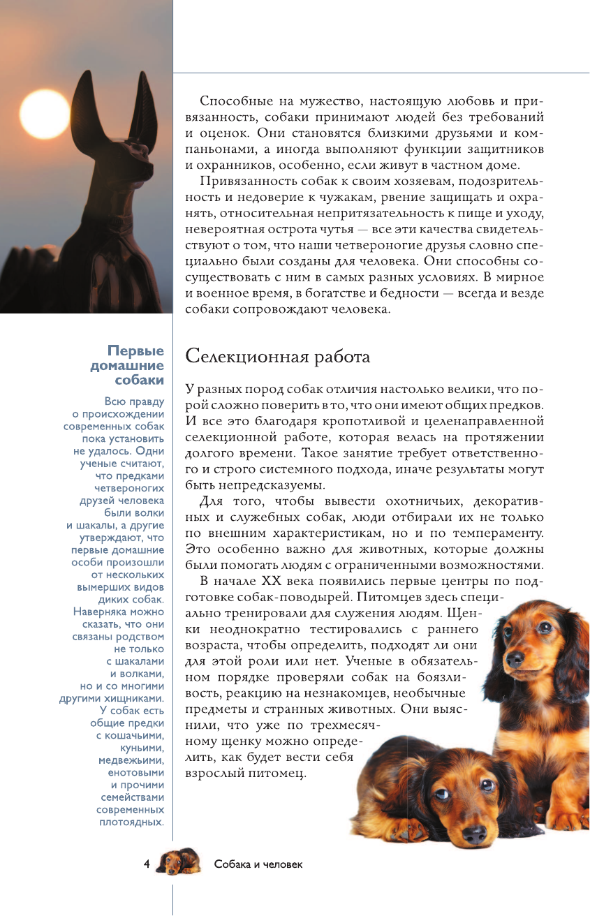  Собаки. Популярный иллюстрированный гид - страница 2