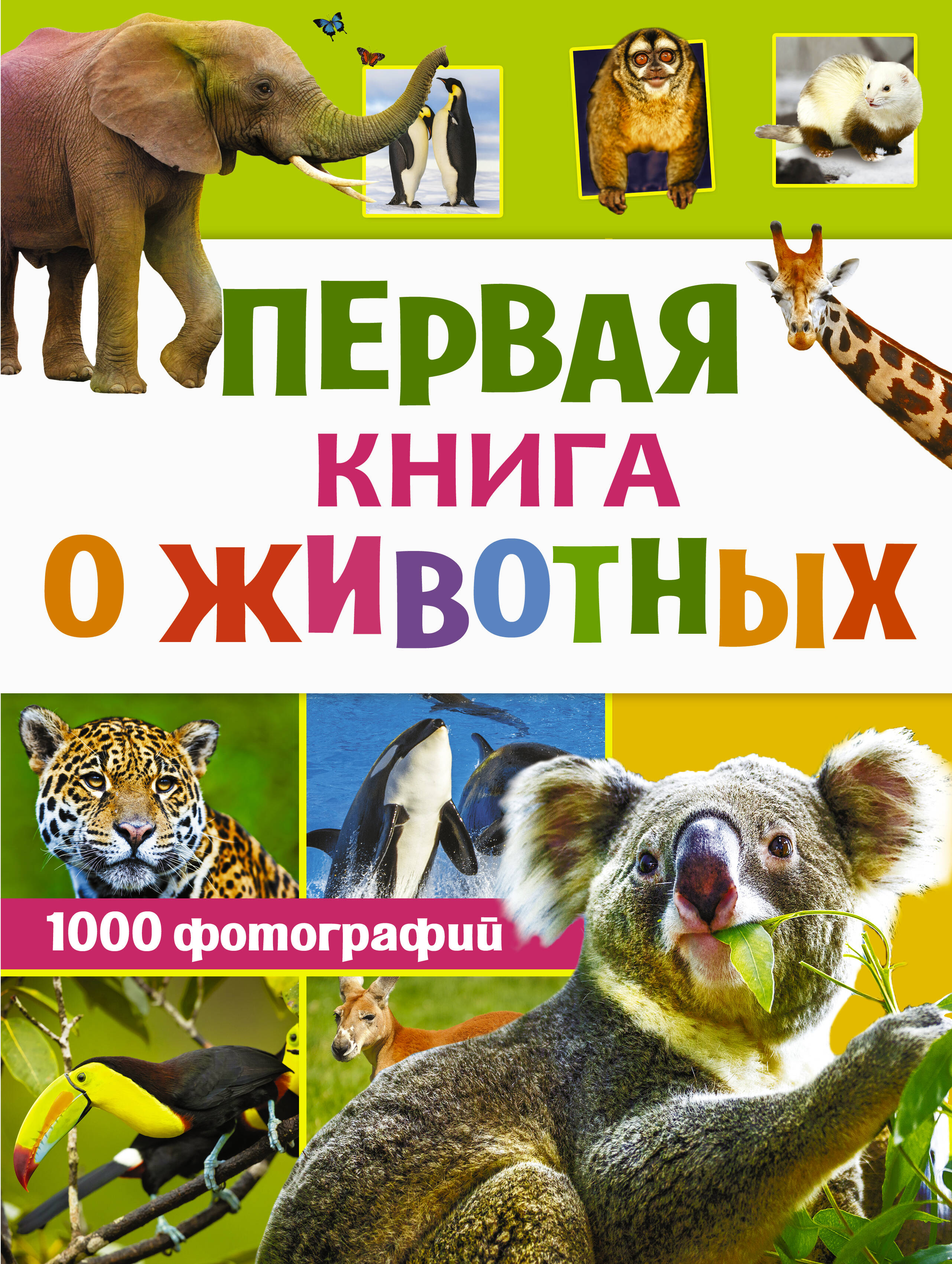  Первая книга о животных. 1000 фотографий - страница 0