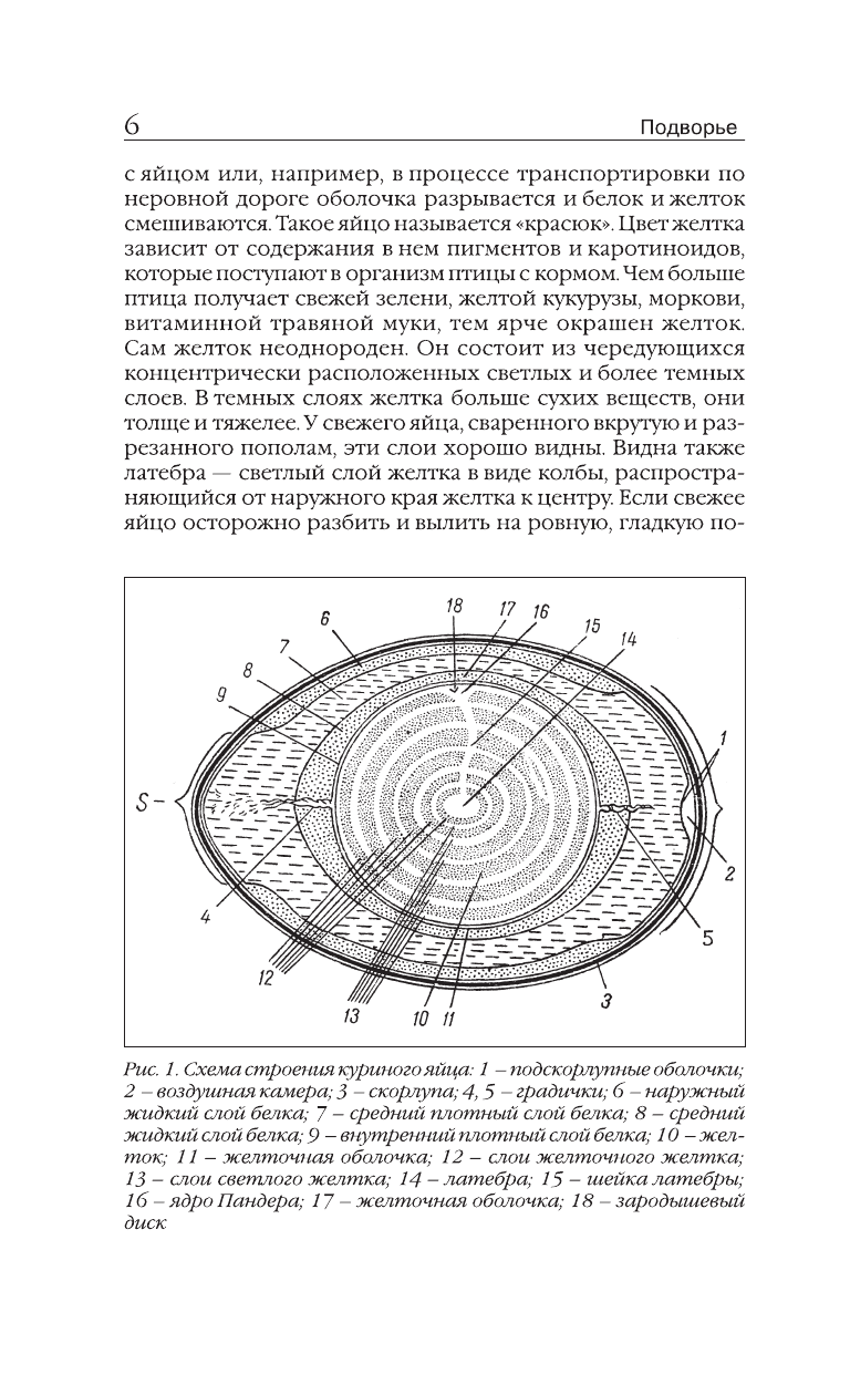 Бондарев Эдуард Иванович Птицеводство для начинающих. Куры, индейки, перепела - страница 4