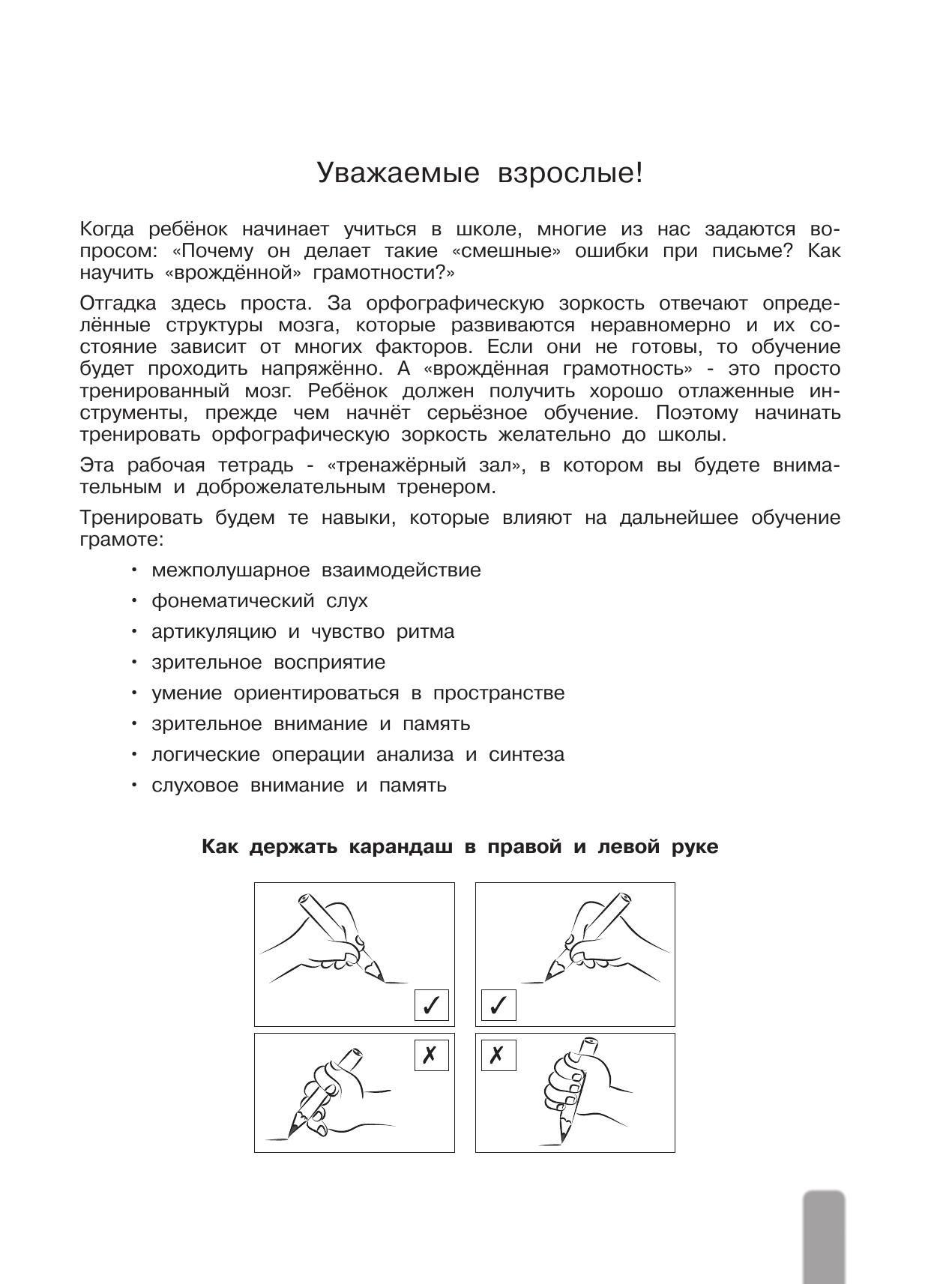 Луцишина Наталья Александровна Нейропрописи для развития орфографической зоркости - страница 2