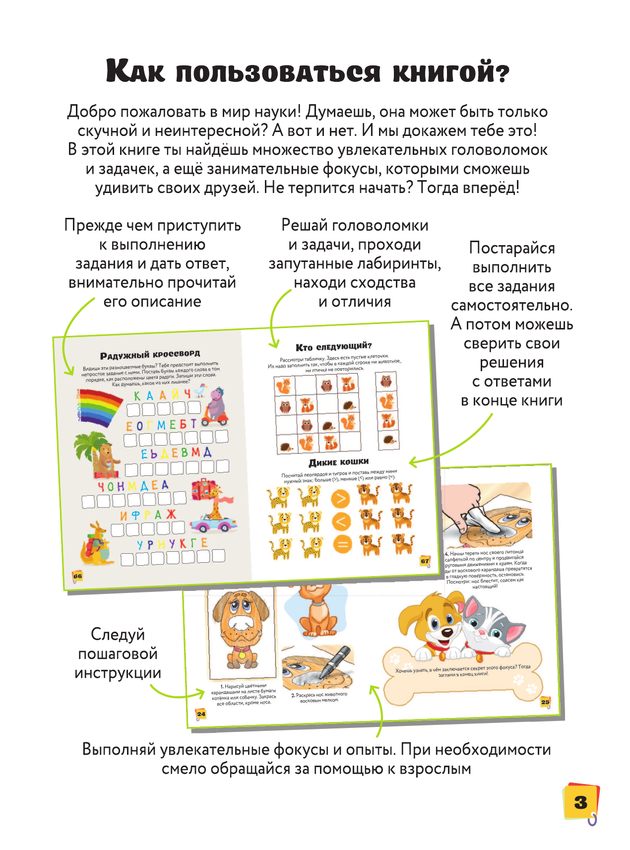  Научные головоломки и фокусы - страница 4