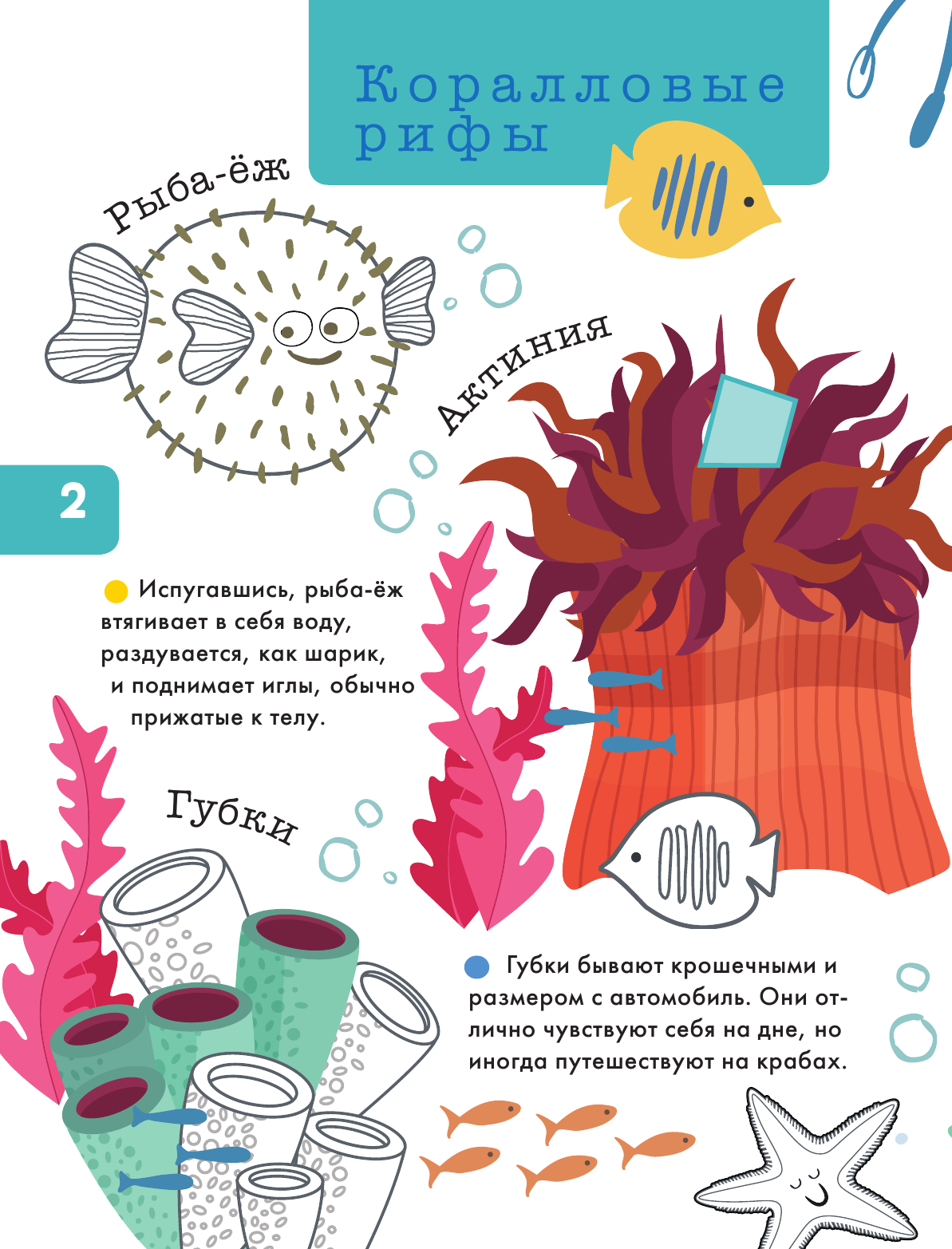  Подводный мир - страница 3