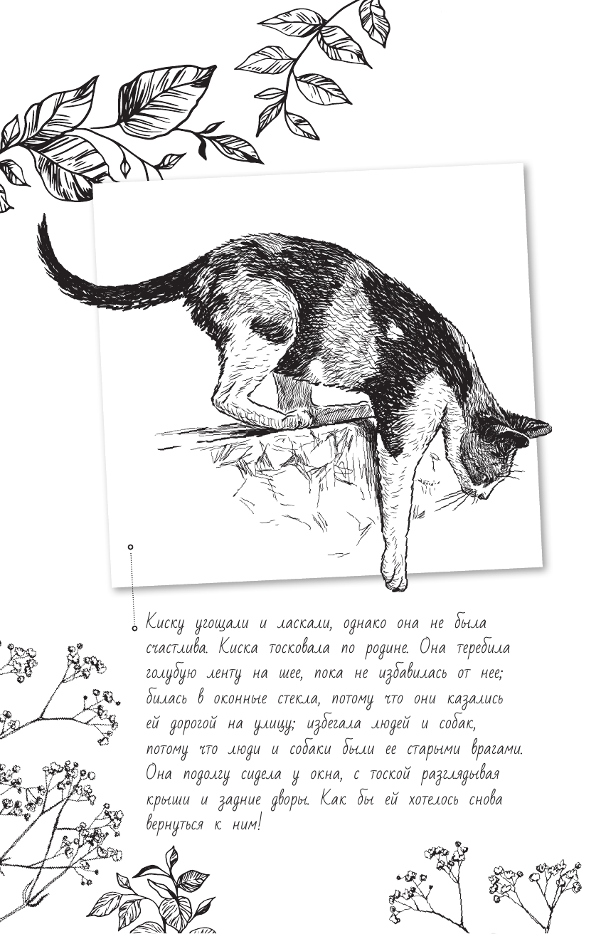 Рассказы о животных - страница 3
