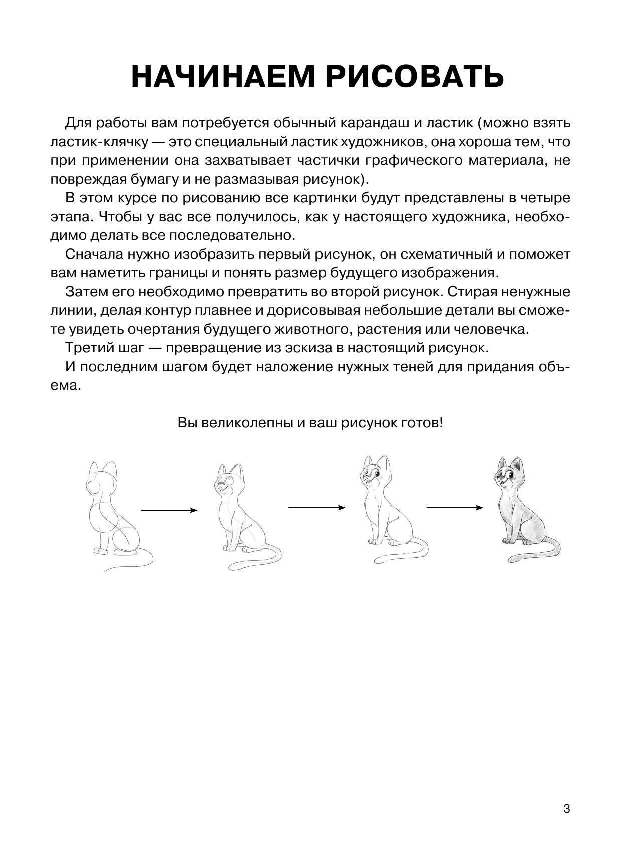 Грей Мистер Суперкурс по рисованию для начинающих - страница 4