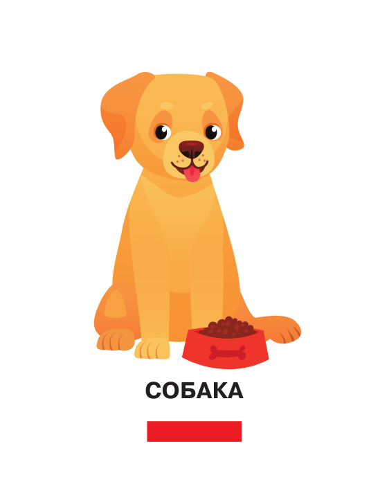  Все, что нужно знать ребенку от 1 до 3 лет. Растения, Животные, Еда, Мебель, Одежда и обувь, Овощи в фрукты, Тело человека, Транспорт - страница 4