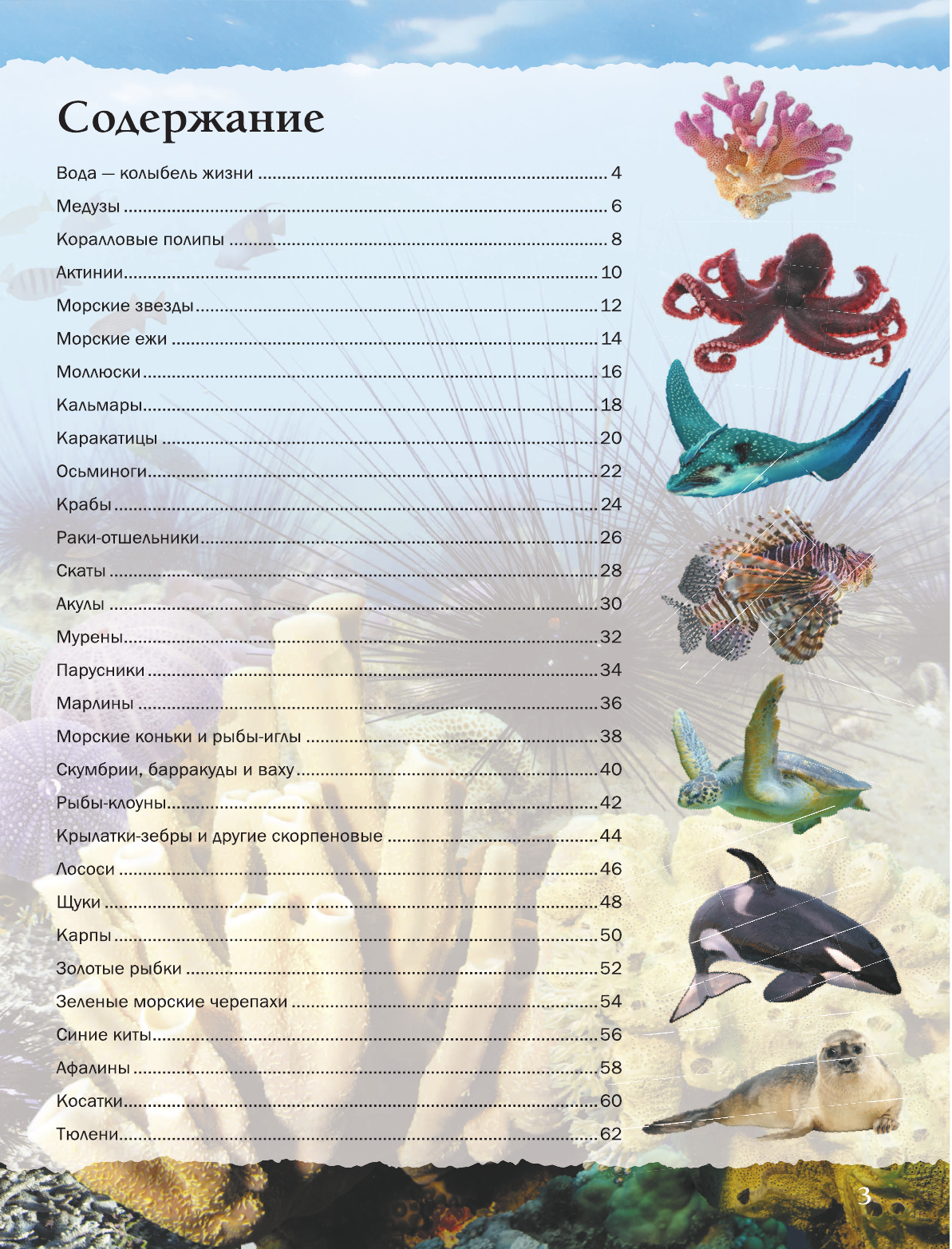  Подводный мир - страница 2