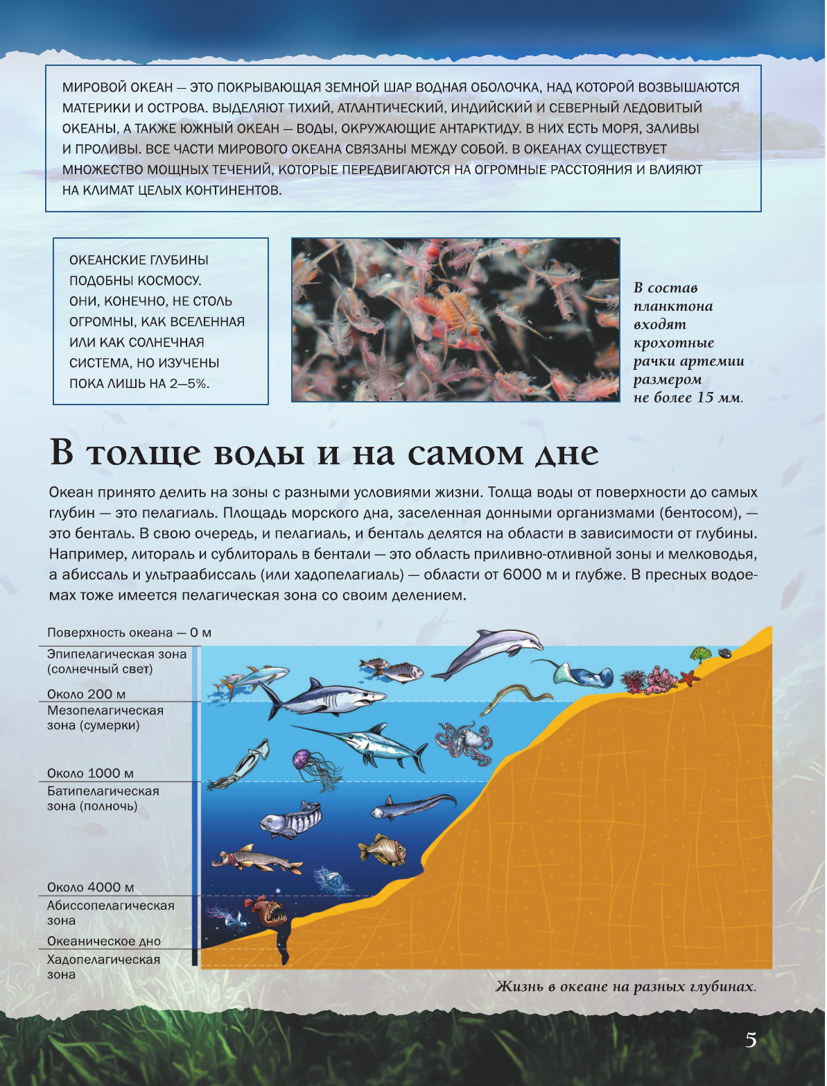  Подводный мир - страница 4