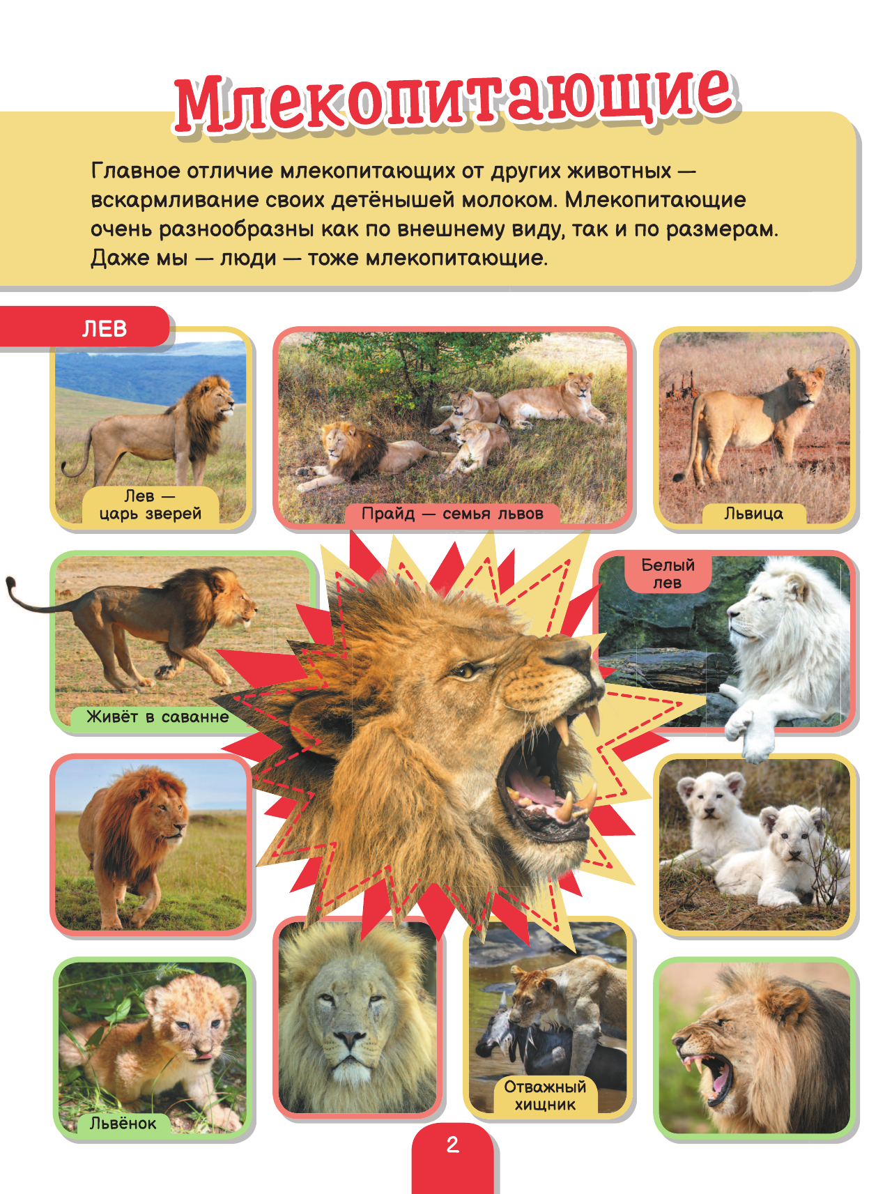  5000 фотографий, которые можно рассматривать целый год - страница 3