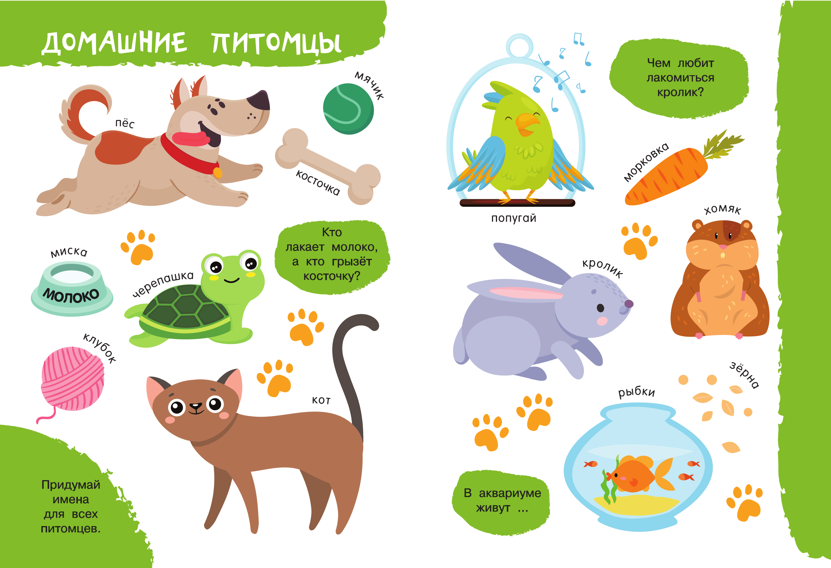  Моя первая книга о животных - страница 2