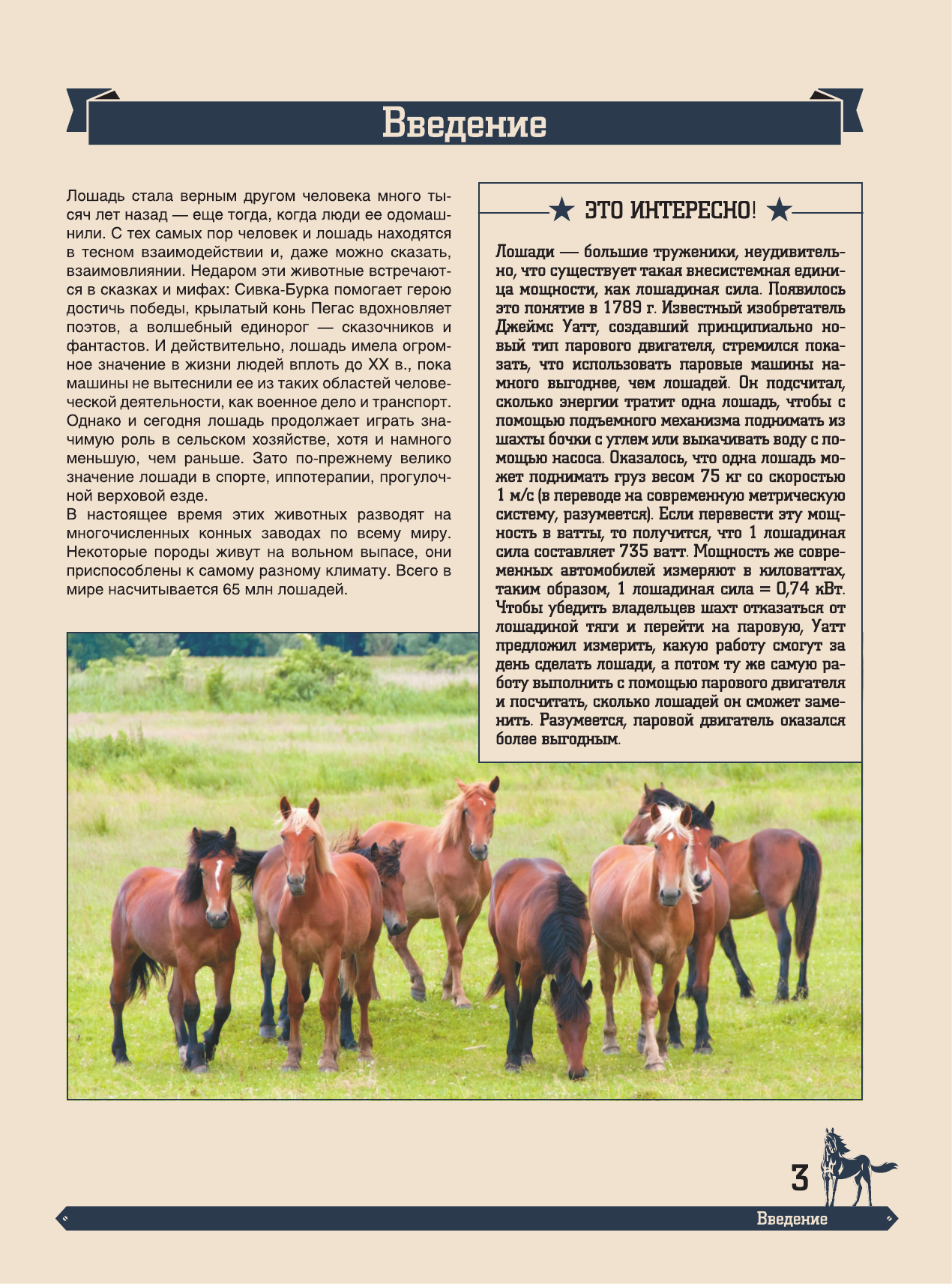  Большая энциклопедия. Лошади - страница 2