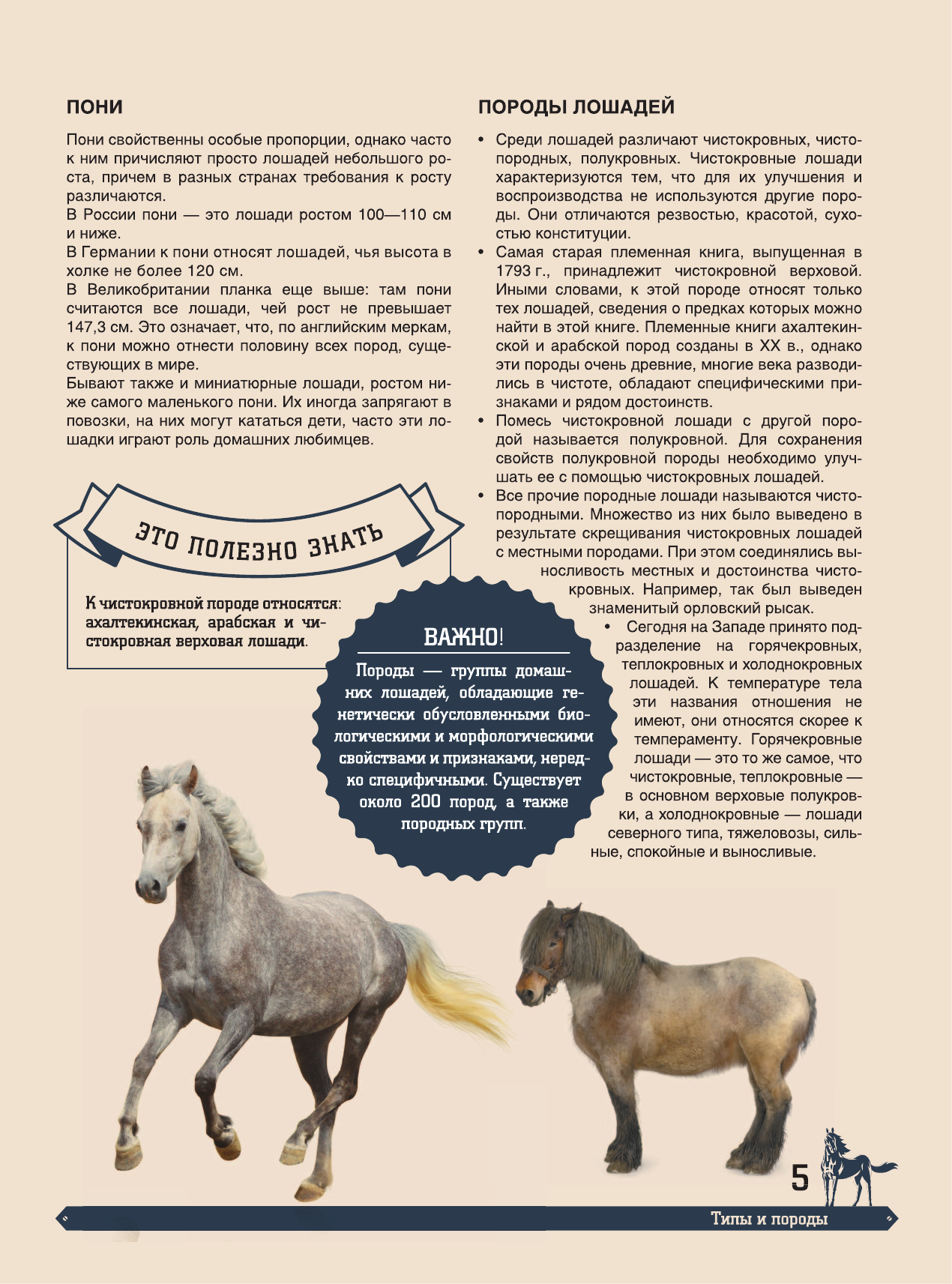  Большая энциклопедия. Лошади - страница 4