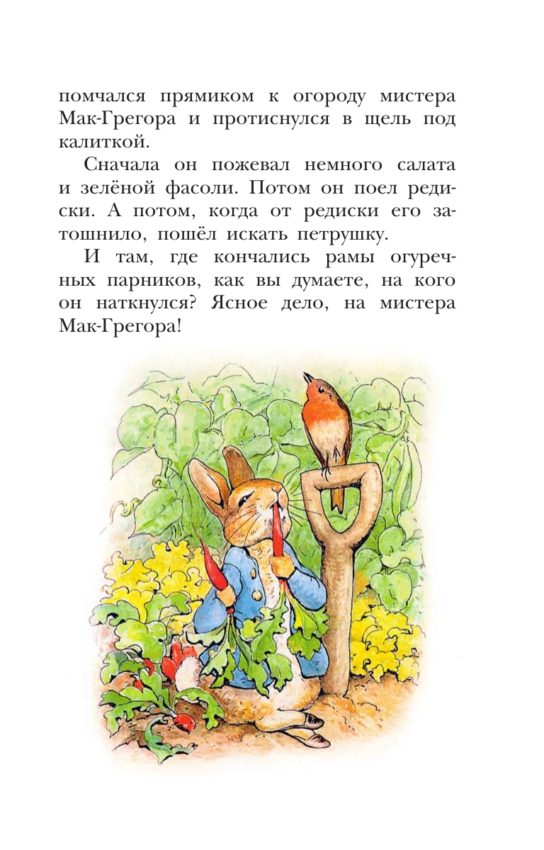 Поттер Беатрис Приключения кролика Питера - страница 3