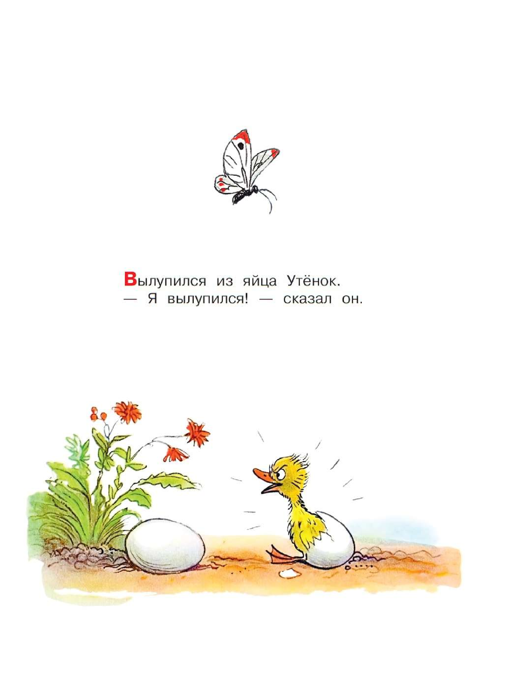 Сутеев Владимир Григорьевич Цыплёнок и Утёнок - страница 1