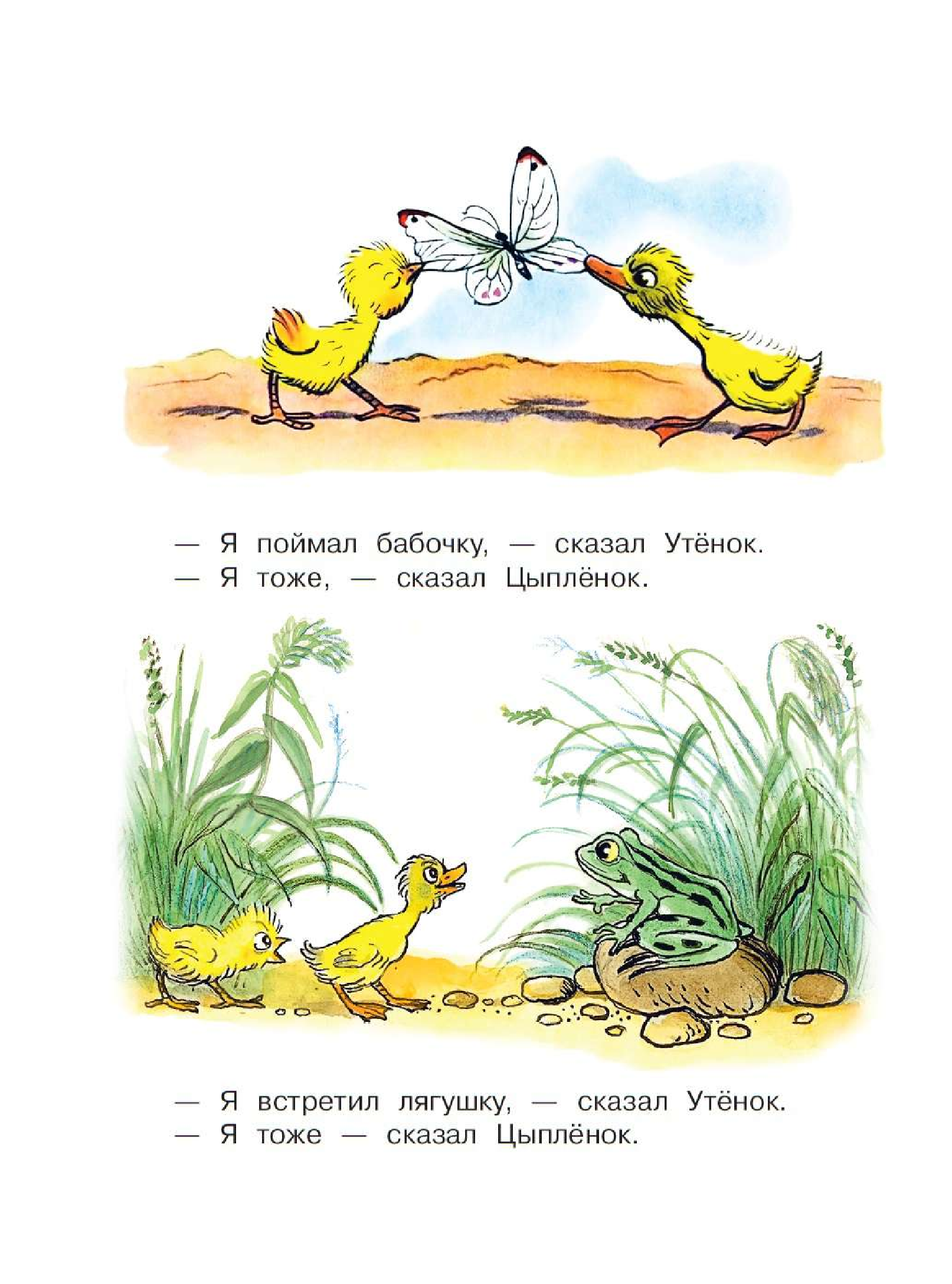 Сутеев Владимир Григорьевич Цыплёнок и Утёнок - страница 2