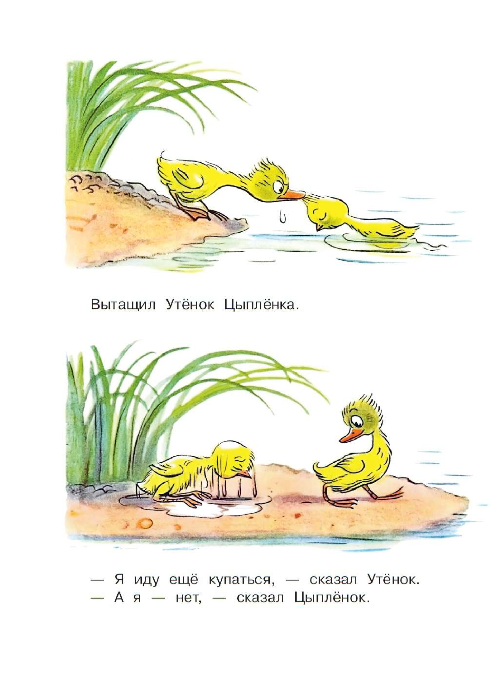 Сутеев Владимир Григорьевич Цыплёнок и Утёнок - страница 3