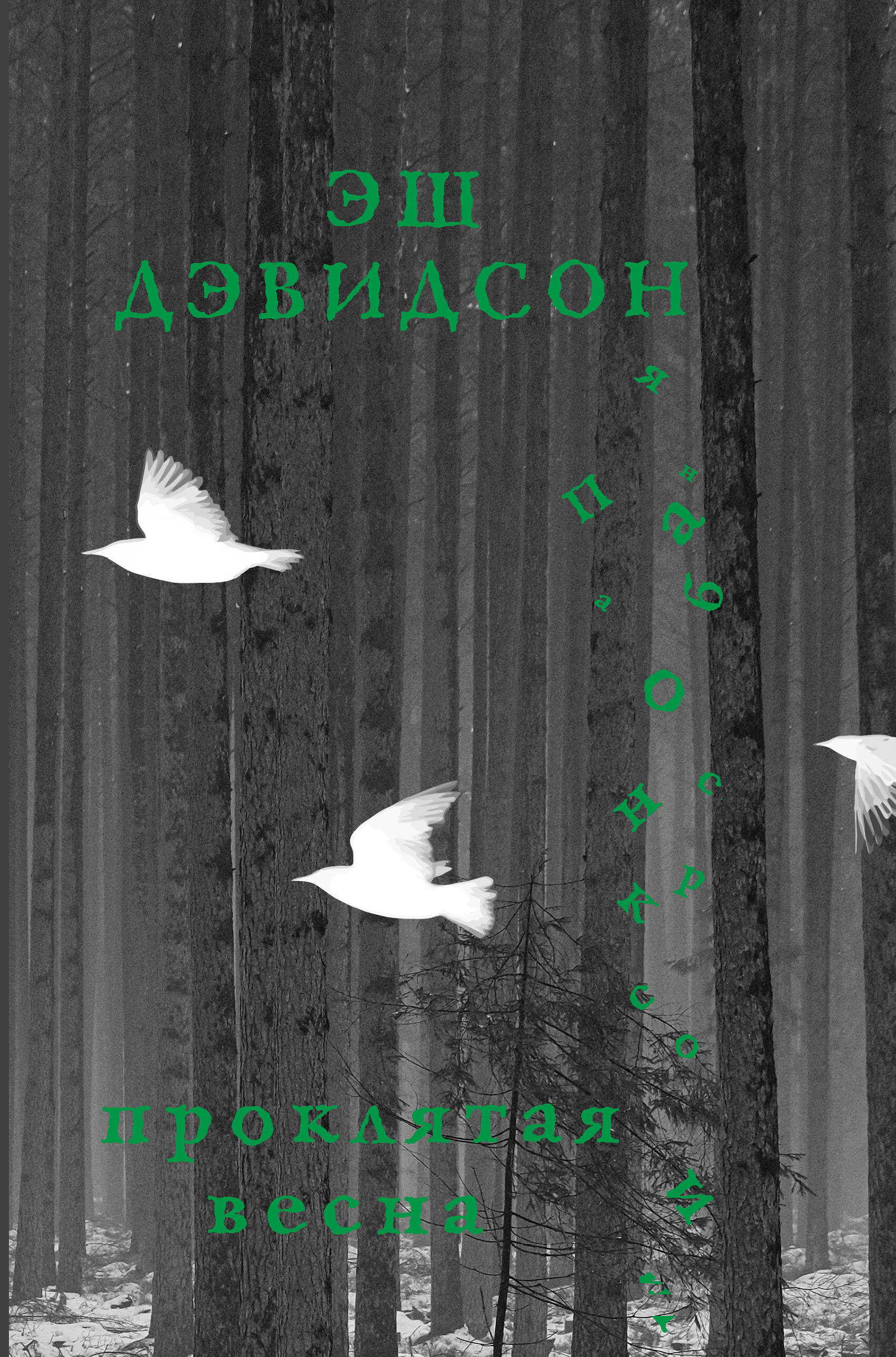 Дэвидсон Эш Проклятая весна - страница 0