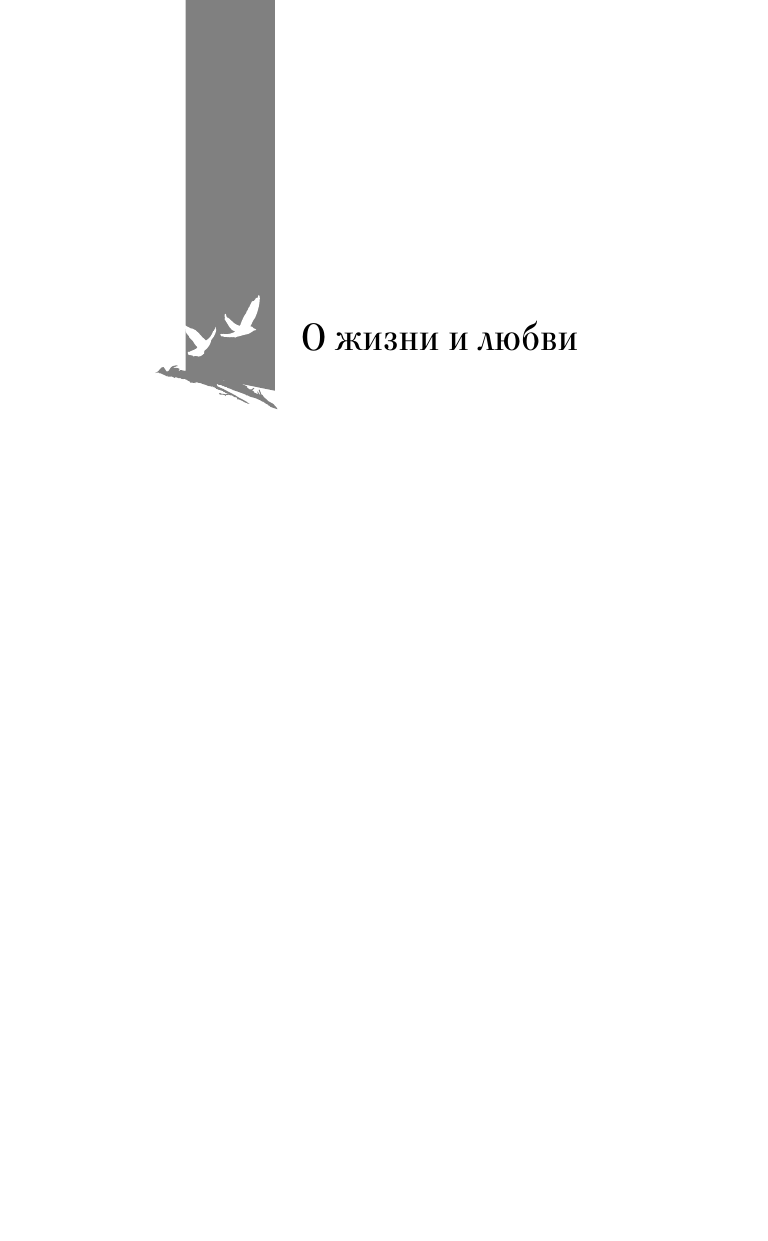 Кристи Аннет, Пальванова Елена Михайловна Репетиция свадьбы - страница 1