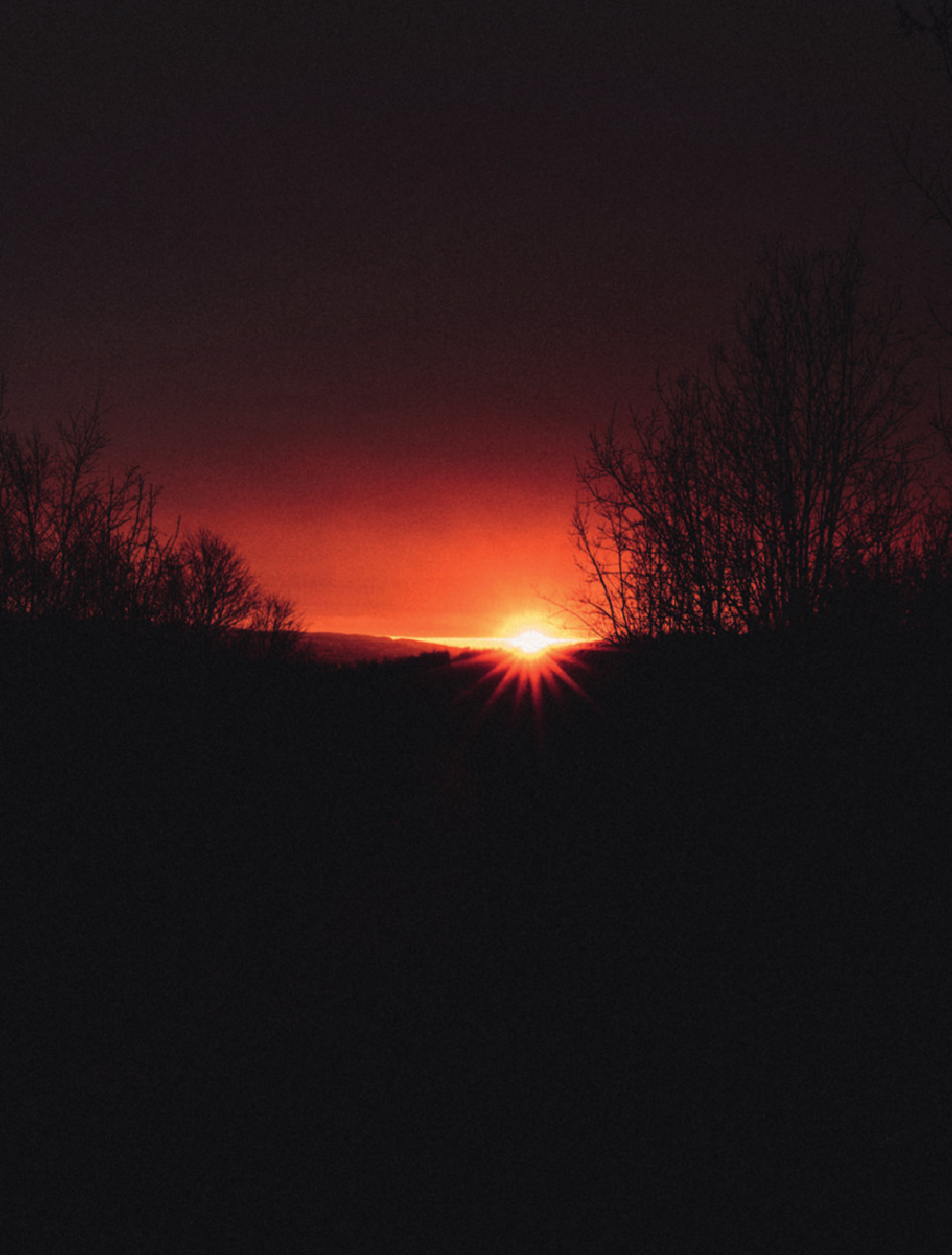 Полярный Александр  Одна ночь в зимнем саду - страница 2