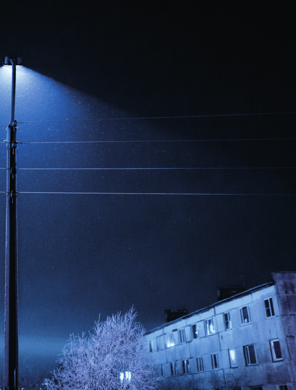 Полярный Александр  Одна ночь в зимнем саду - страница 4