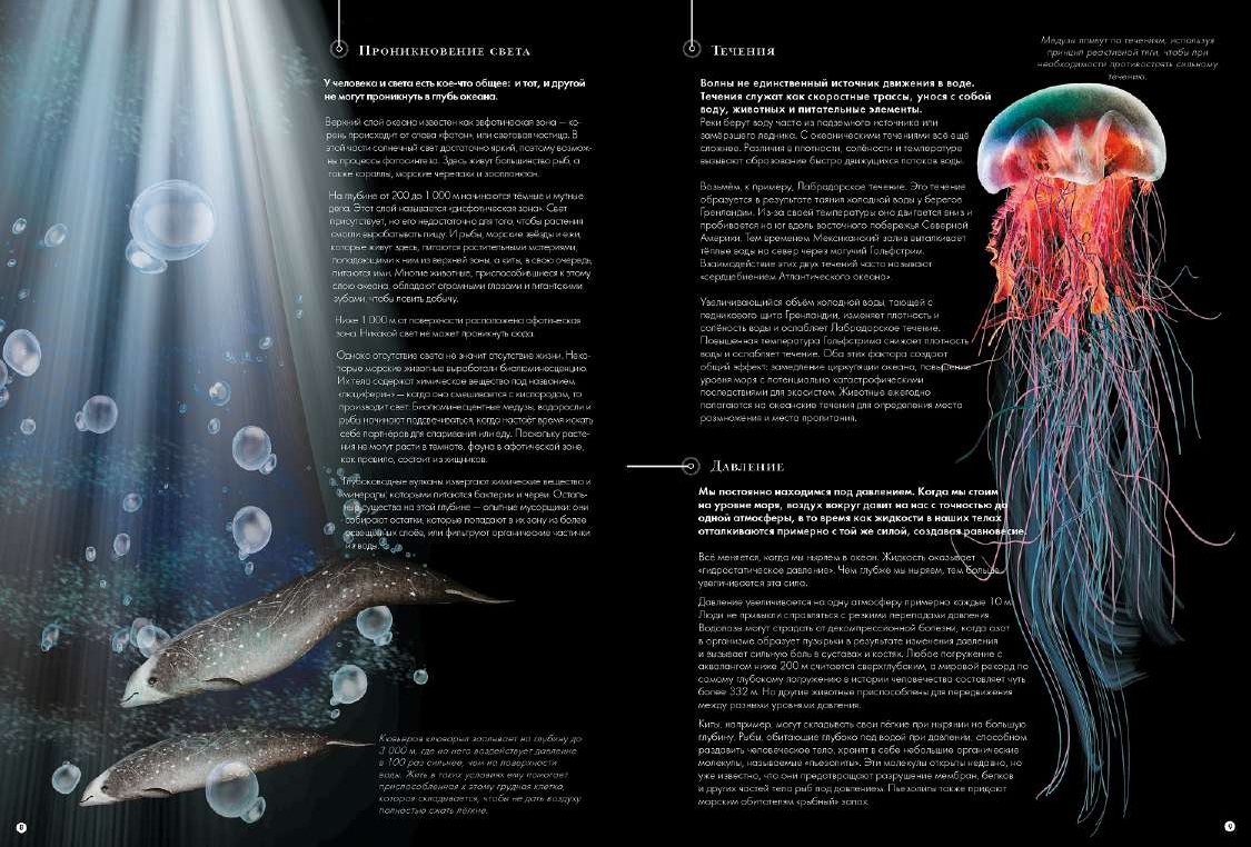  Подводный мир - страница 2