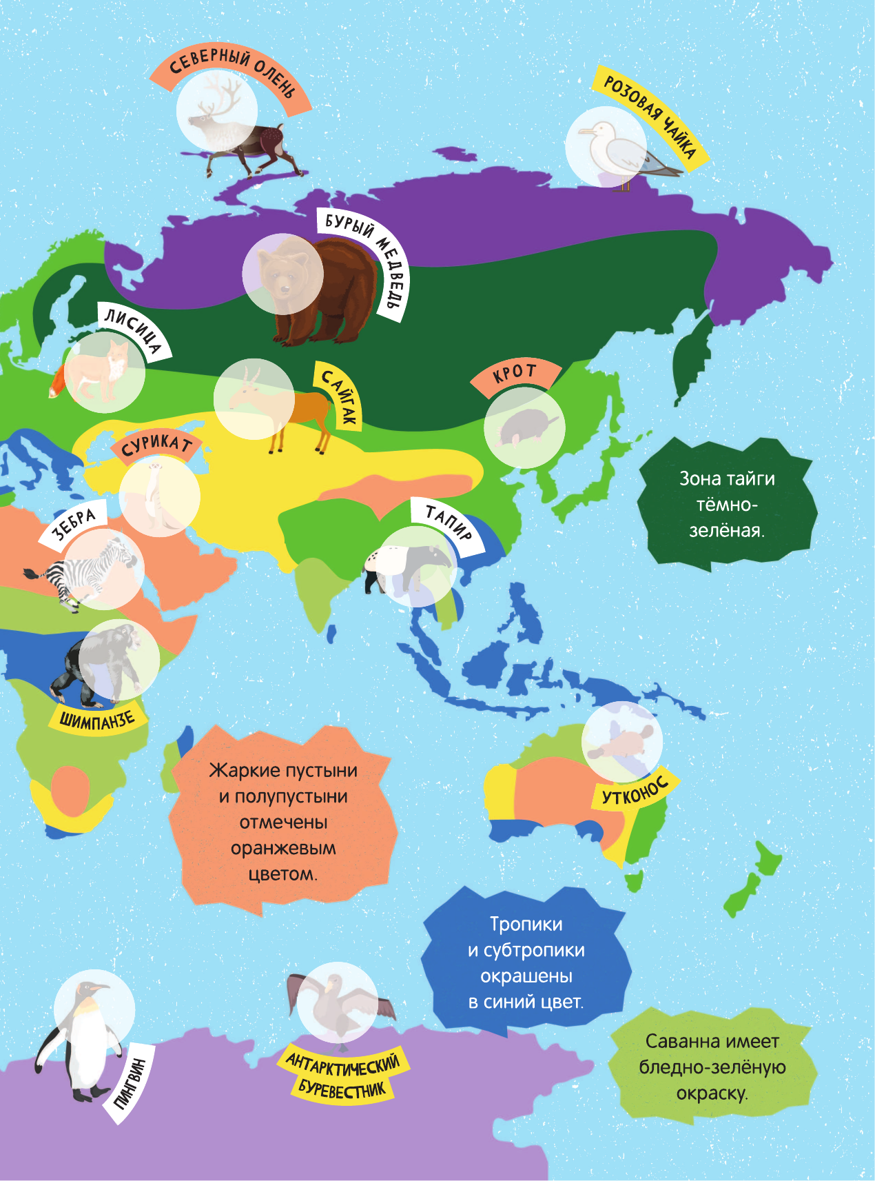  Большой атлас животного мира для детей - страница 4