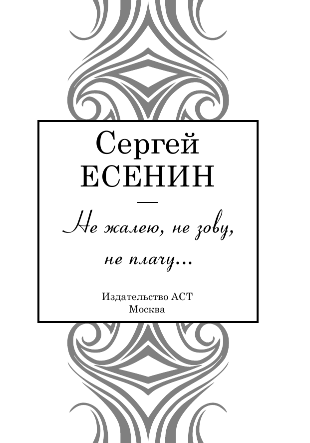 Бачурин Дмитрий Вячеславович Не жалею,не зову,не плачу - страница 4