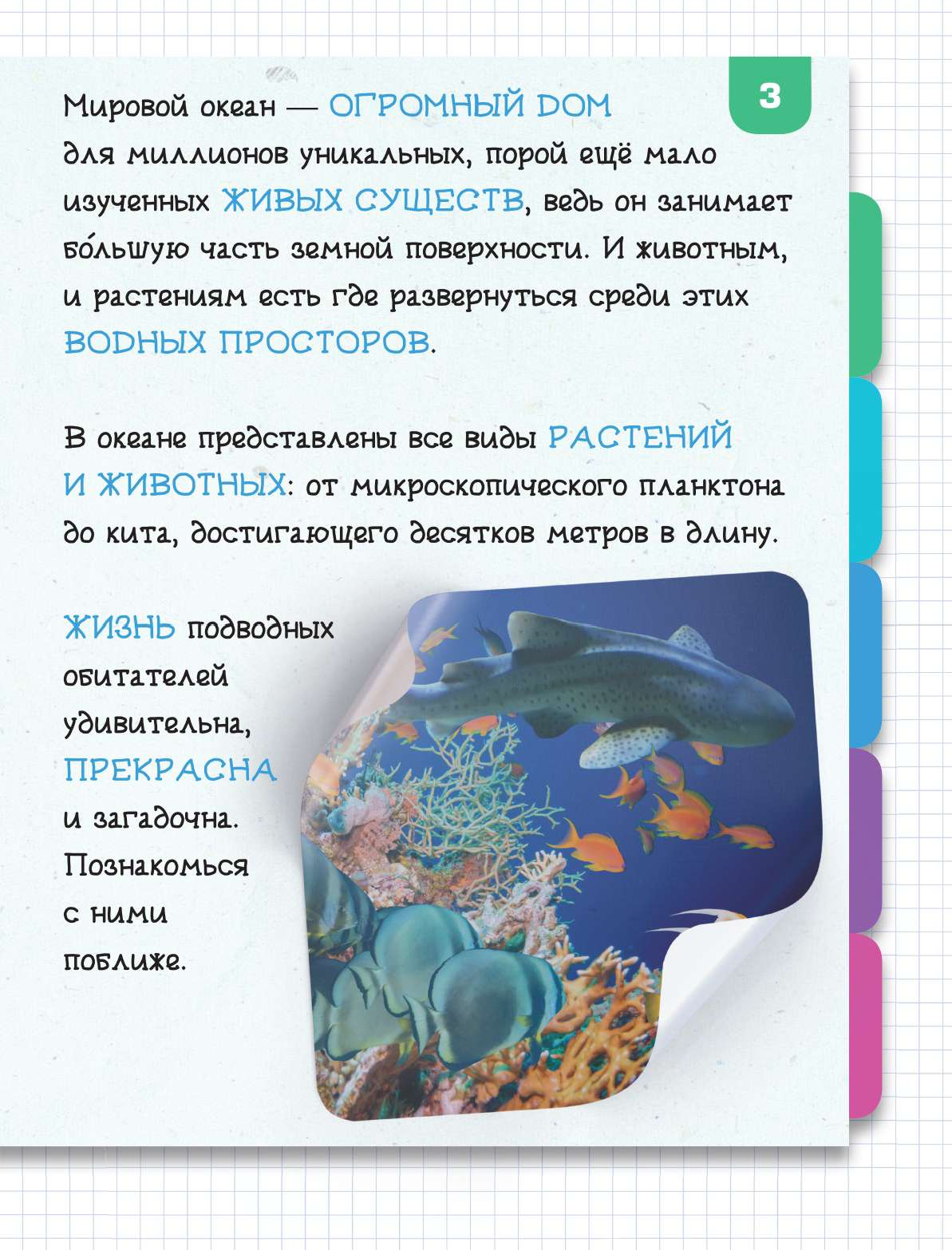  Подводный мир - страница 1