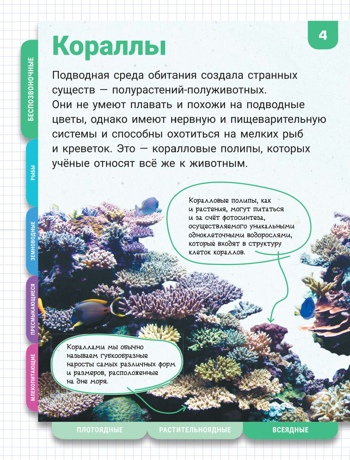  Подводный мир - страница 2