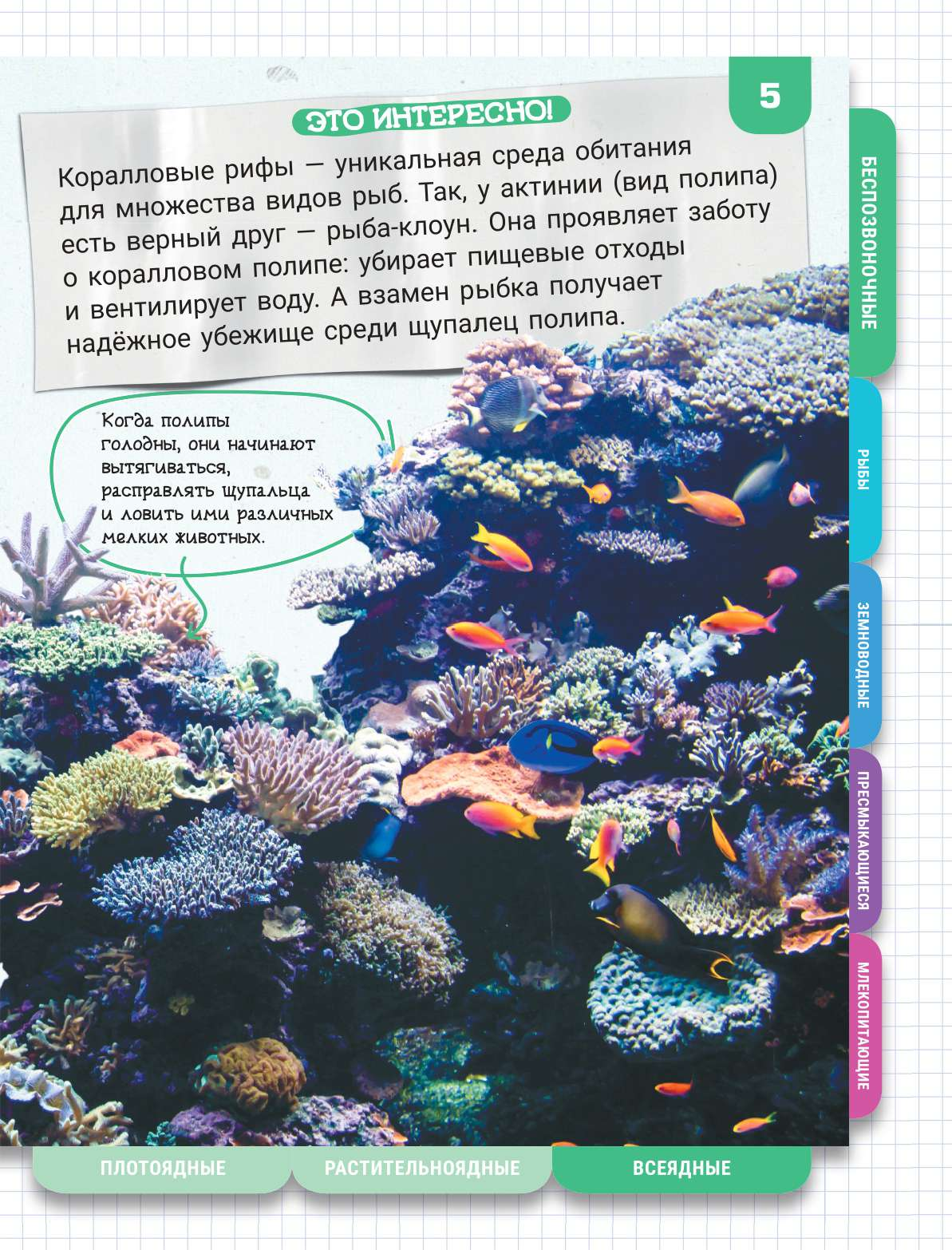  Подводный мир - страница 3