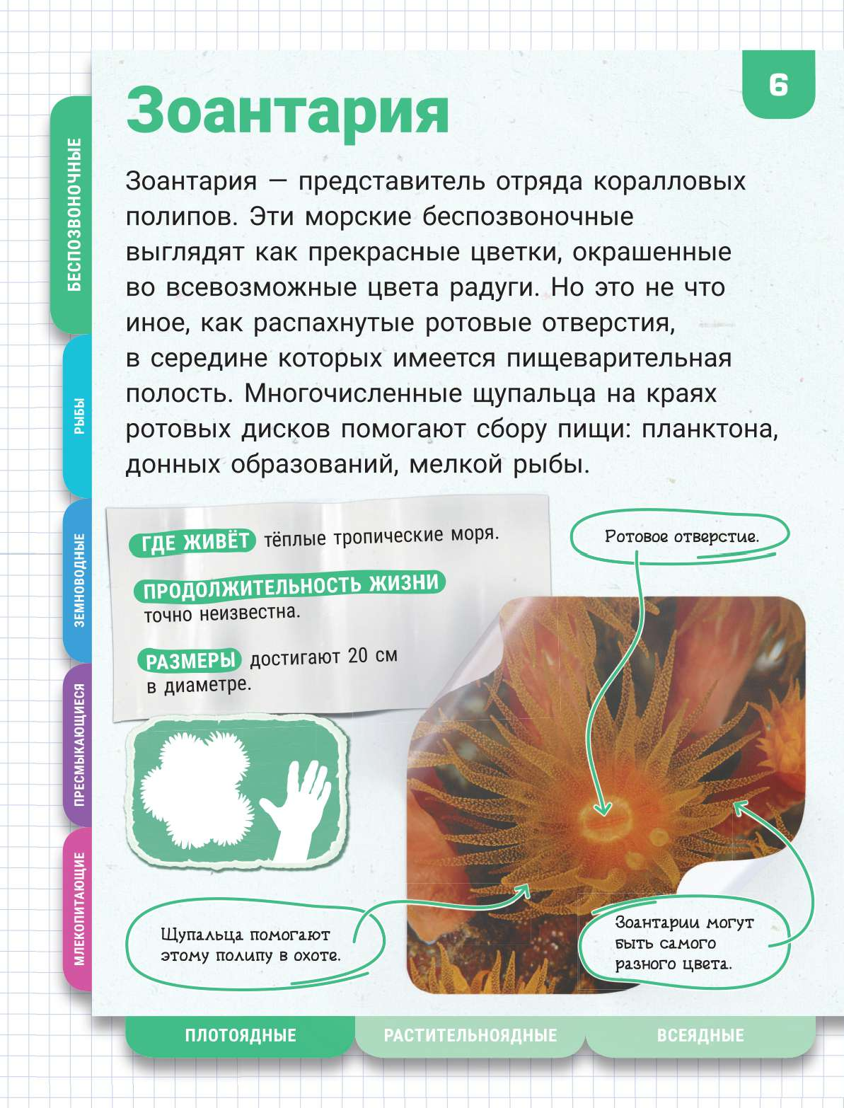  Подводный мир - страница 4