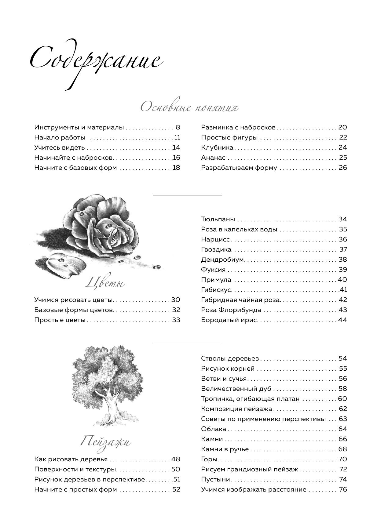  Большая школа рисования: Начинающие - страница 4