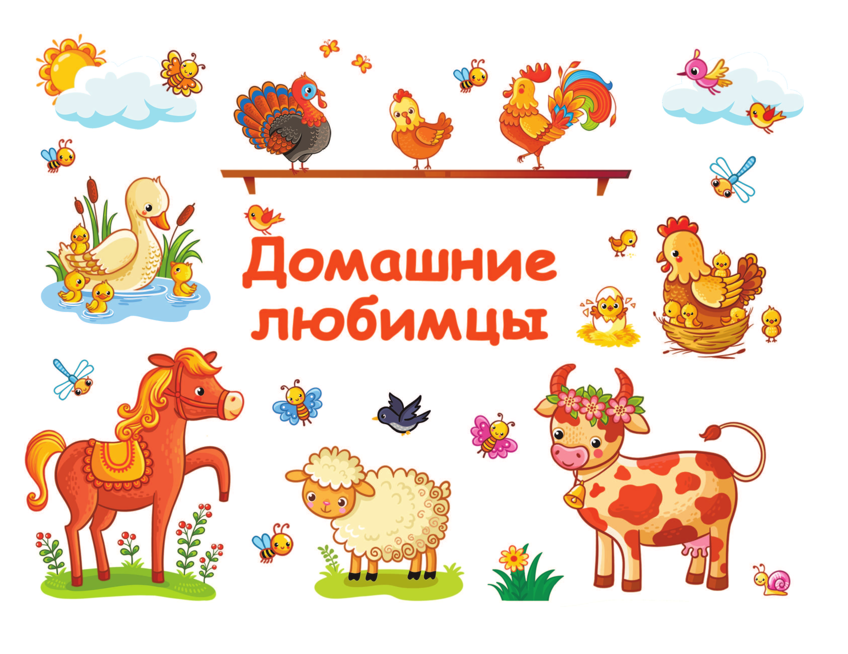  Домашние любимцы - страница 2