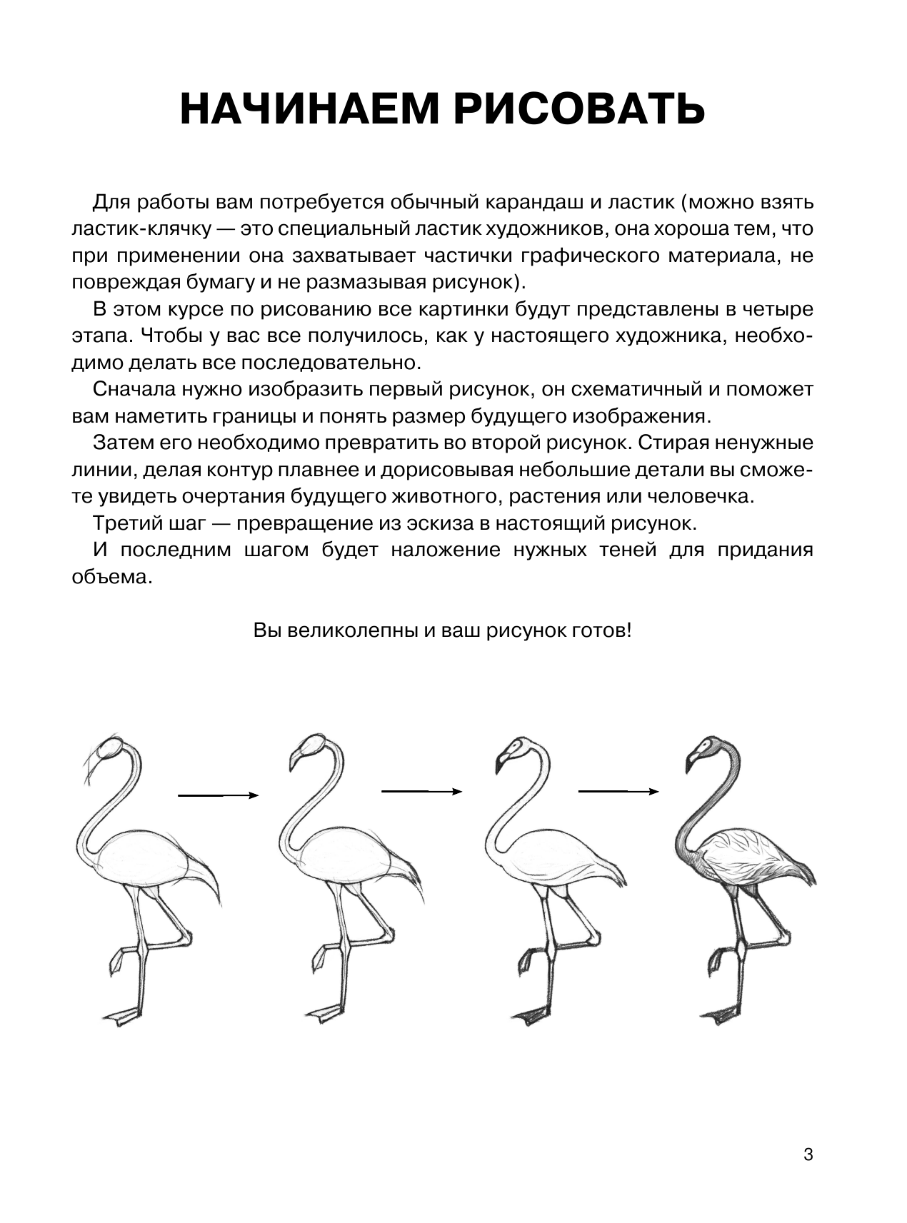 Грей Мистер Суперкурс по рисованию. Простые зарисовки - страница 4