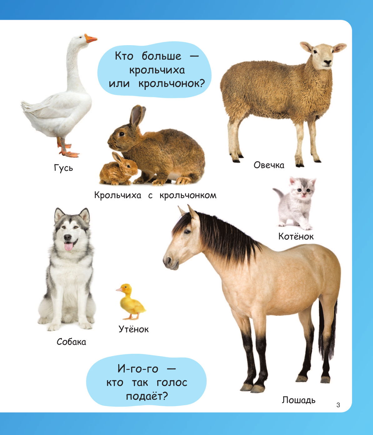  Изучаю мир. Моя первая фотокнига - страница 4