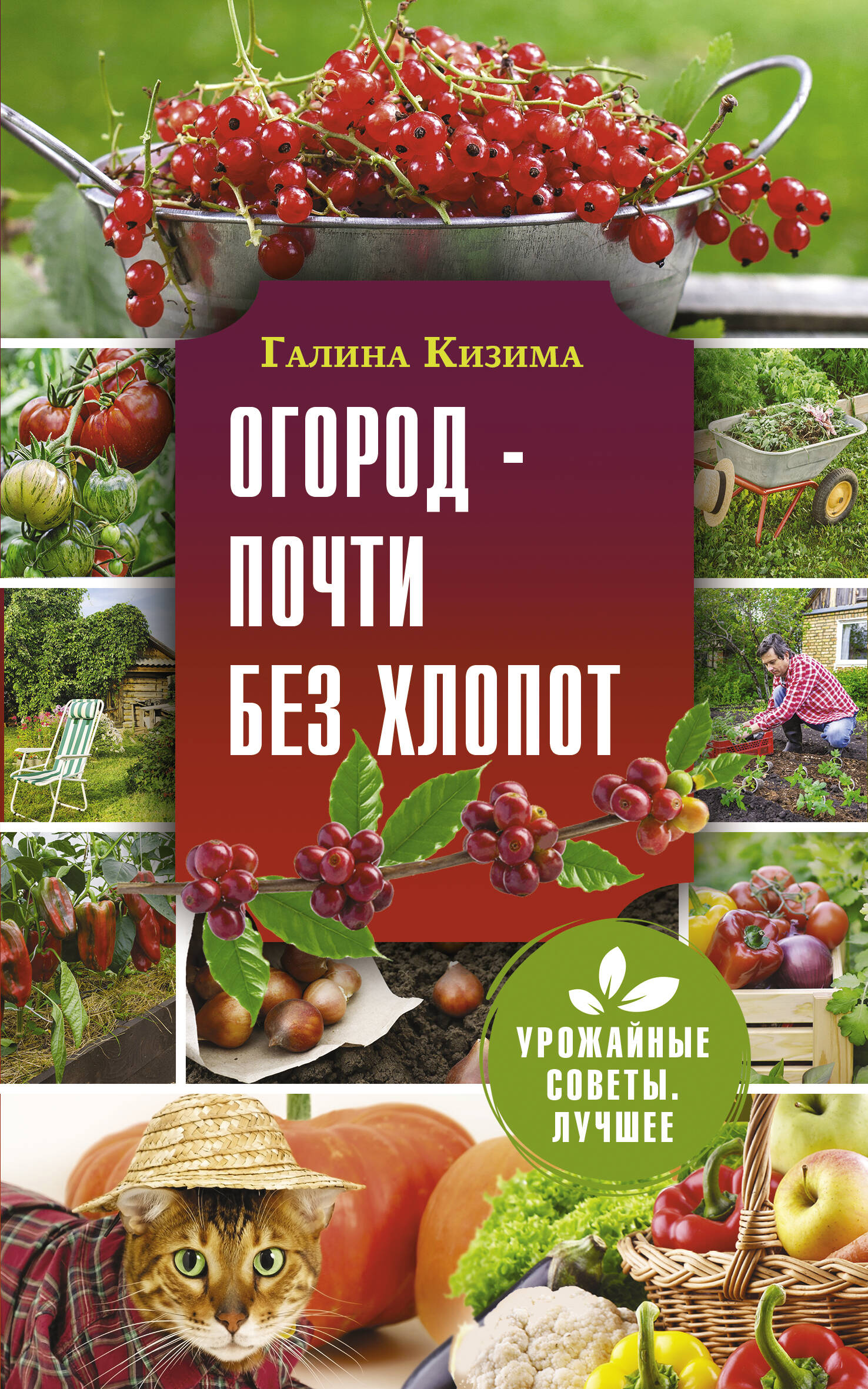 Кизима Галина Александровна Огород - почти без хлопот - страница 0